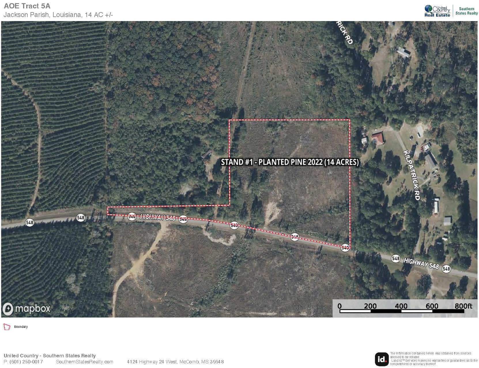14 Acre Timber Tract with Road Frontage