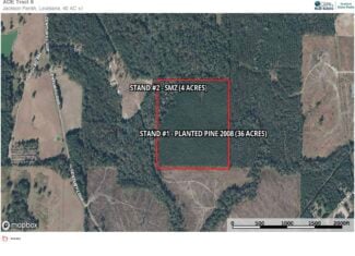 40 Acres Timberland for sale North Louisiana