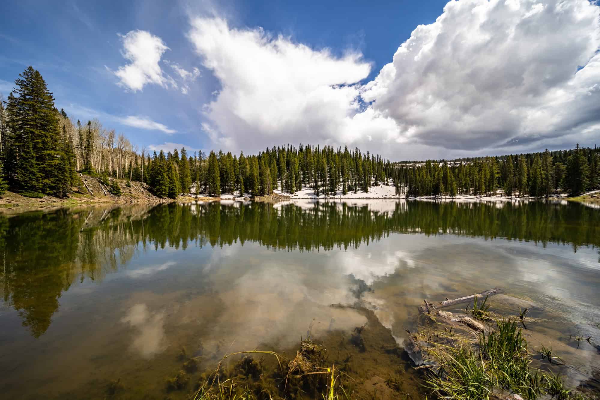 Mesa Lakes Lodge For Sale