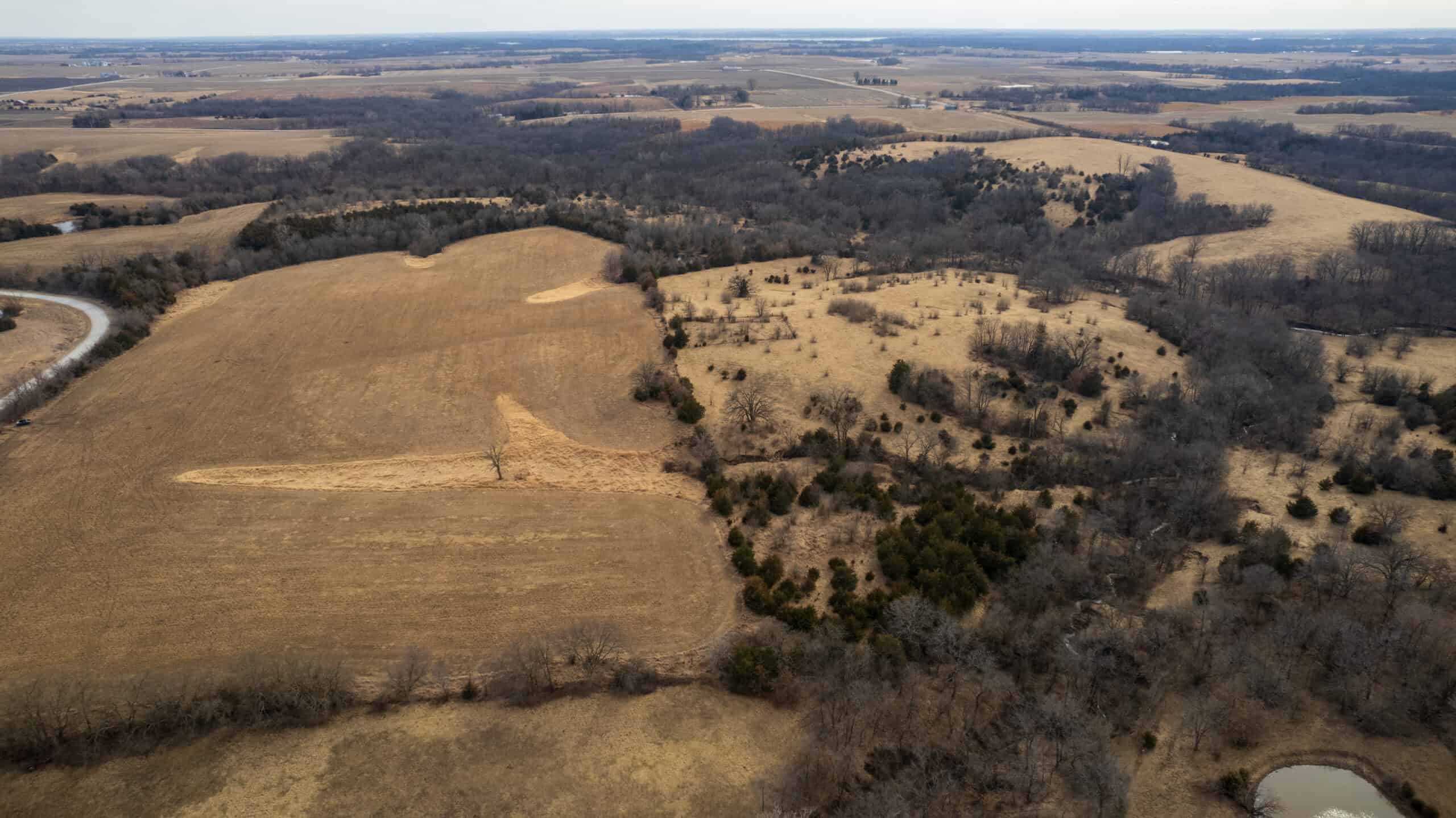 160+/- Acres | Timber, Open Ground & Prime Hunting Potential | Monroe County, IA