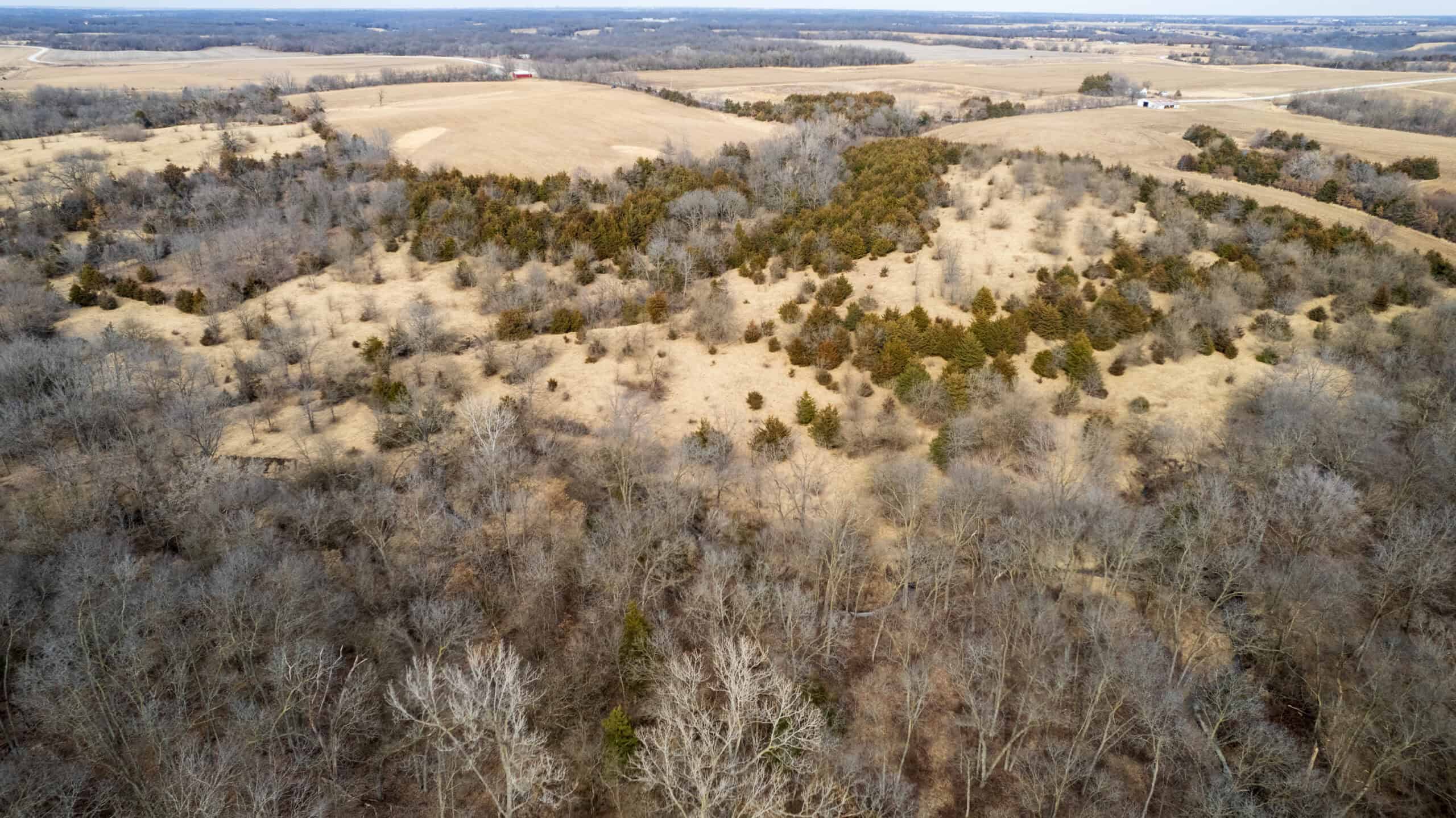 160+/- Acres | Timber, Open Ground & Prime Hunting Potential | Monroe County, IA