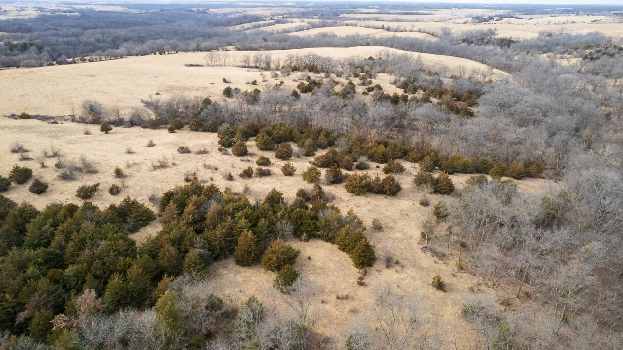160+/- Acres | Timber, Open Ground & Prime Hunting Potential | Monroe County, IA