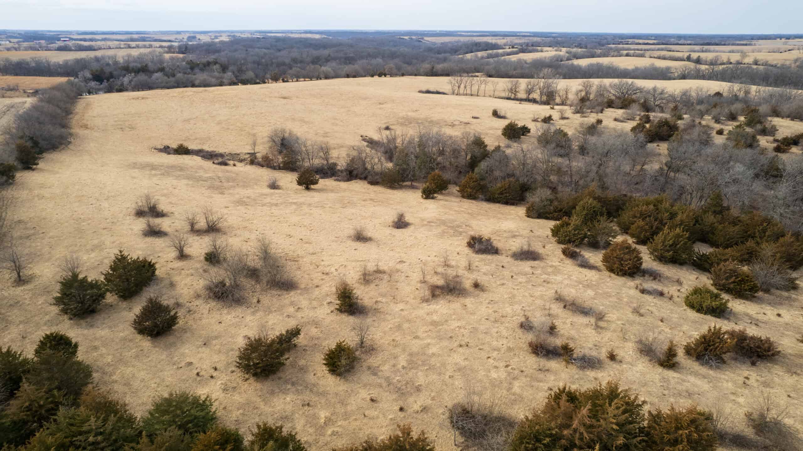 160+/- Acres | Timber, Open Ground & Prime Hunting Potential | Monroe County, IA