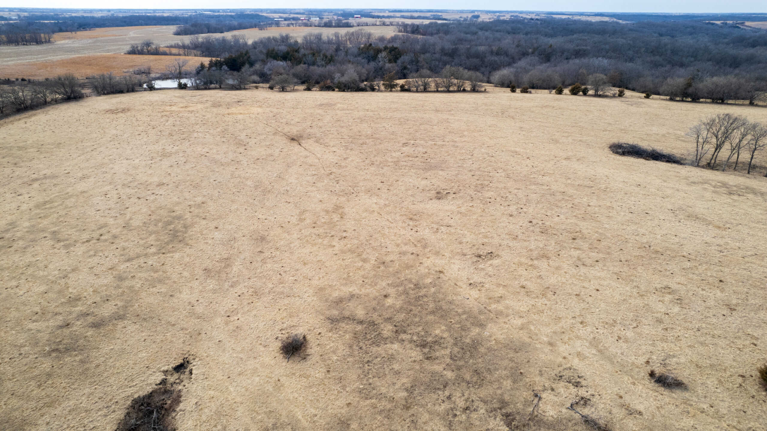 160+/- Acres | Timber, Open Ground & Prime Hunting Potential | Monroe County, IA