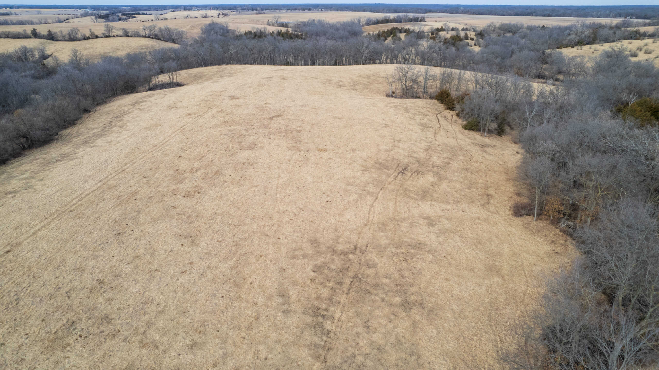 160+/- Acres | Timber, Open Ground & Prime Hunting Potential | Monroe County, IA