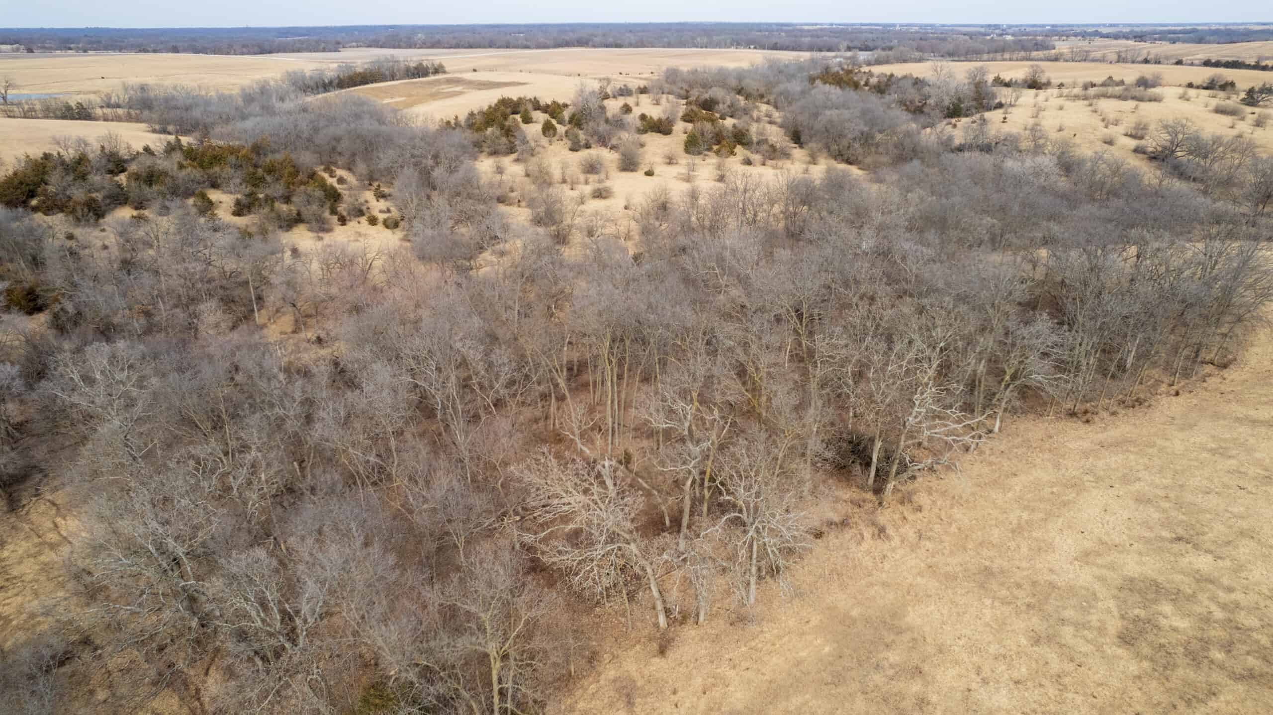 160+/- Acres | Timber, Open Ground & Prime Hunting Potential | Monroe County, IA
