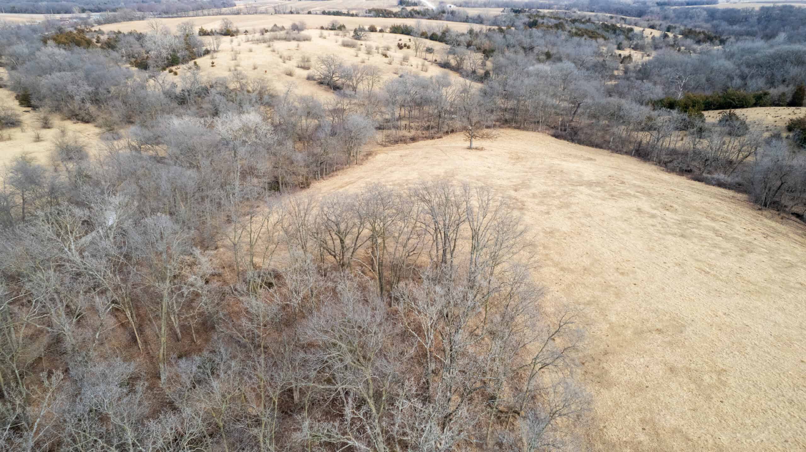 160+/- Acres | Timber, Open Ground & Prime Hunting Potential | Monroe County, IA