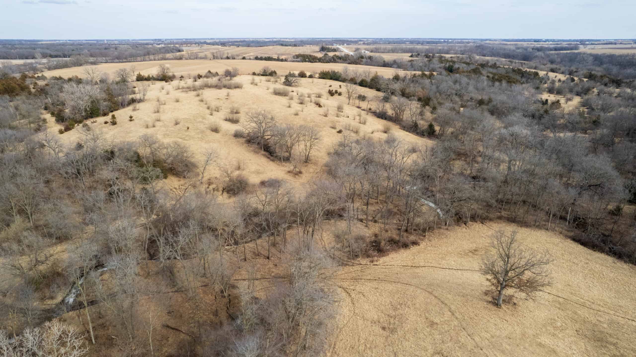 160+/- Acres | Timber, Open Ground & Prime Hunting Potential | Monroe County, IA