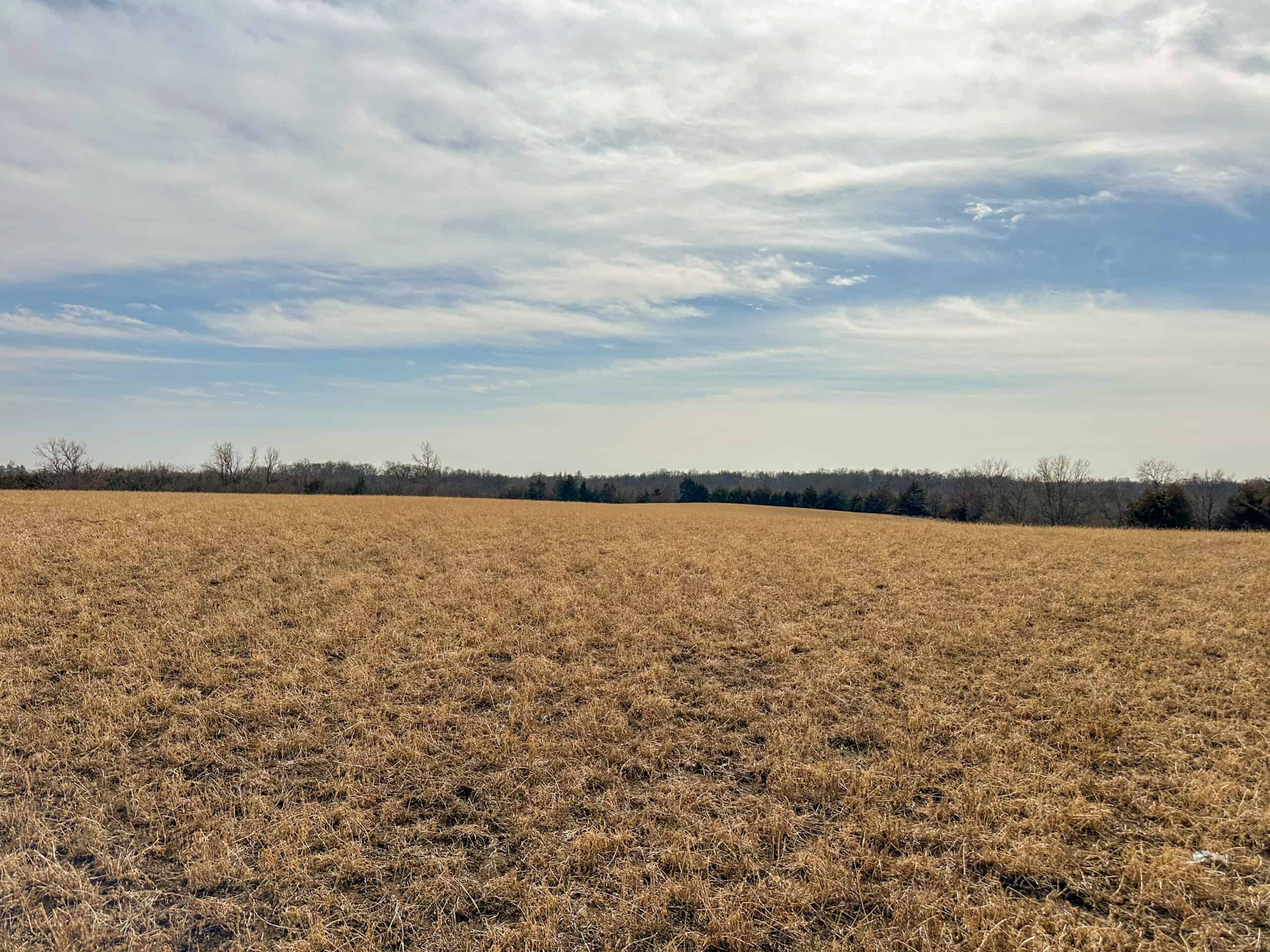 160+/- Acres | Timber, Open Ground & Prime Hunting Potential | Monroe County, IA