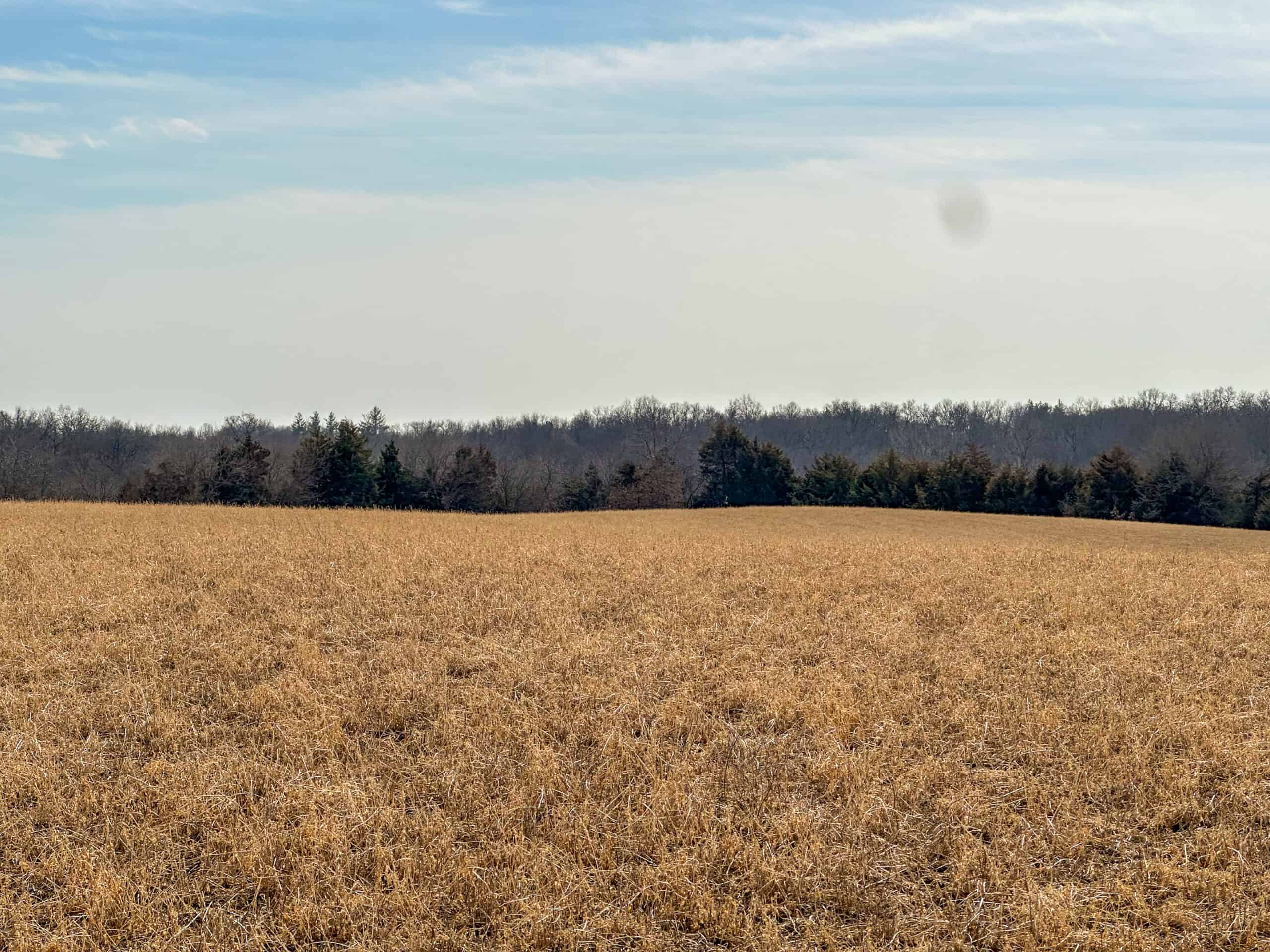 160+/- Acres | Timber, Open Ground & Prime Hunting Potential | Monroe County, IA