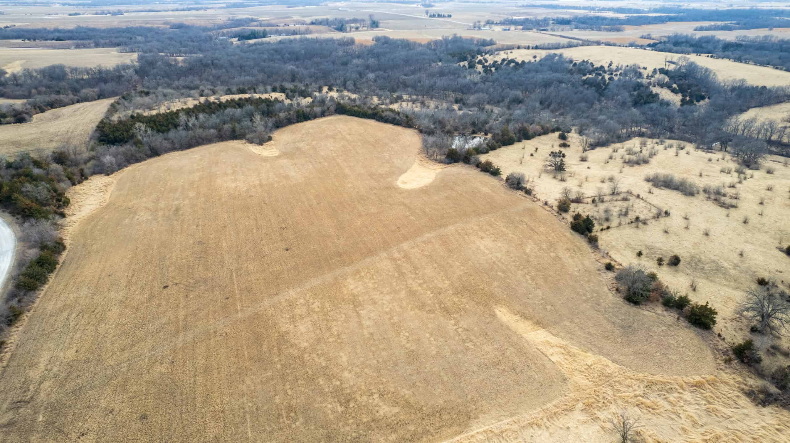 160+/- Acres | Timber, Open Ground & Prime Hunting Potential | Monroe County, IA