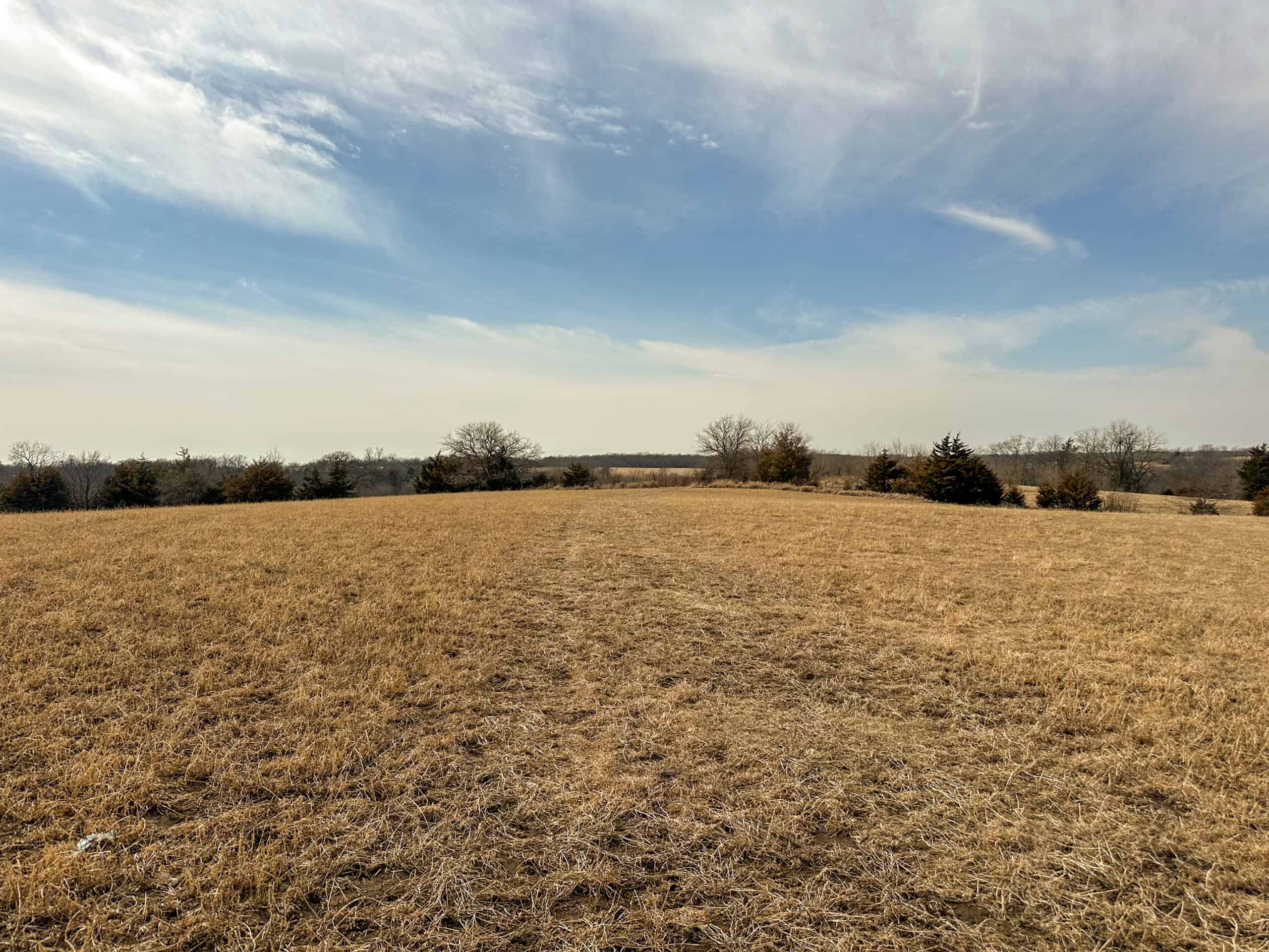 160+/- Acres | Timber, Open Ground & Prime Hunting Potential | Monroe County, IA