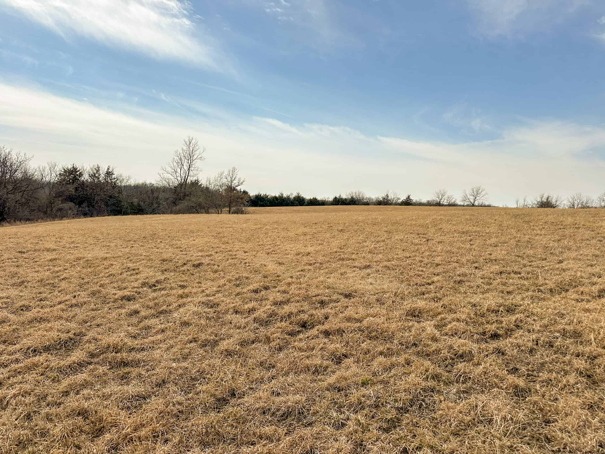 160+/- Acres | Timber, Open Ground & Prime Hunting Potential | Monroe County, IA