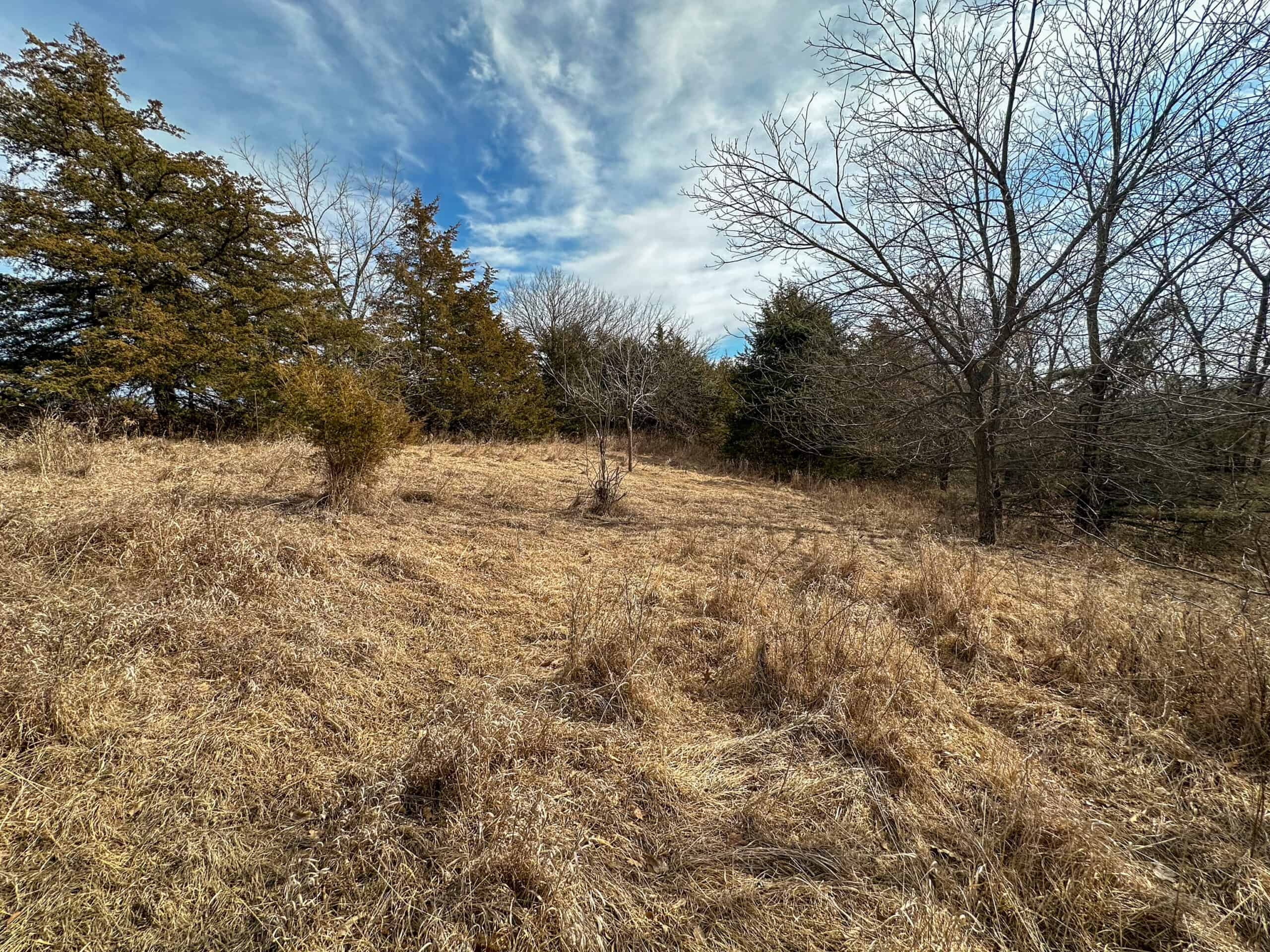 160+/- Acres | Timber, Open Ground & Prime Hunting Potential | Monroe County, IA