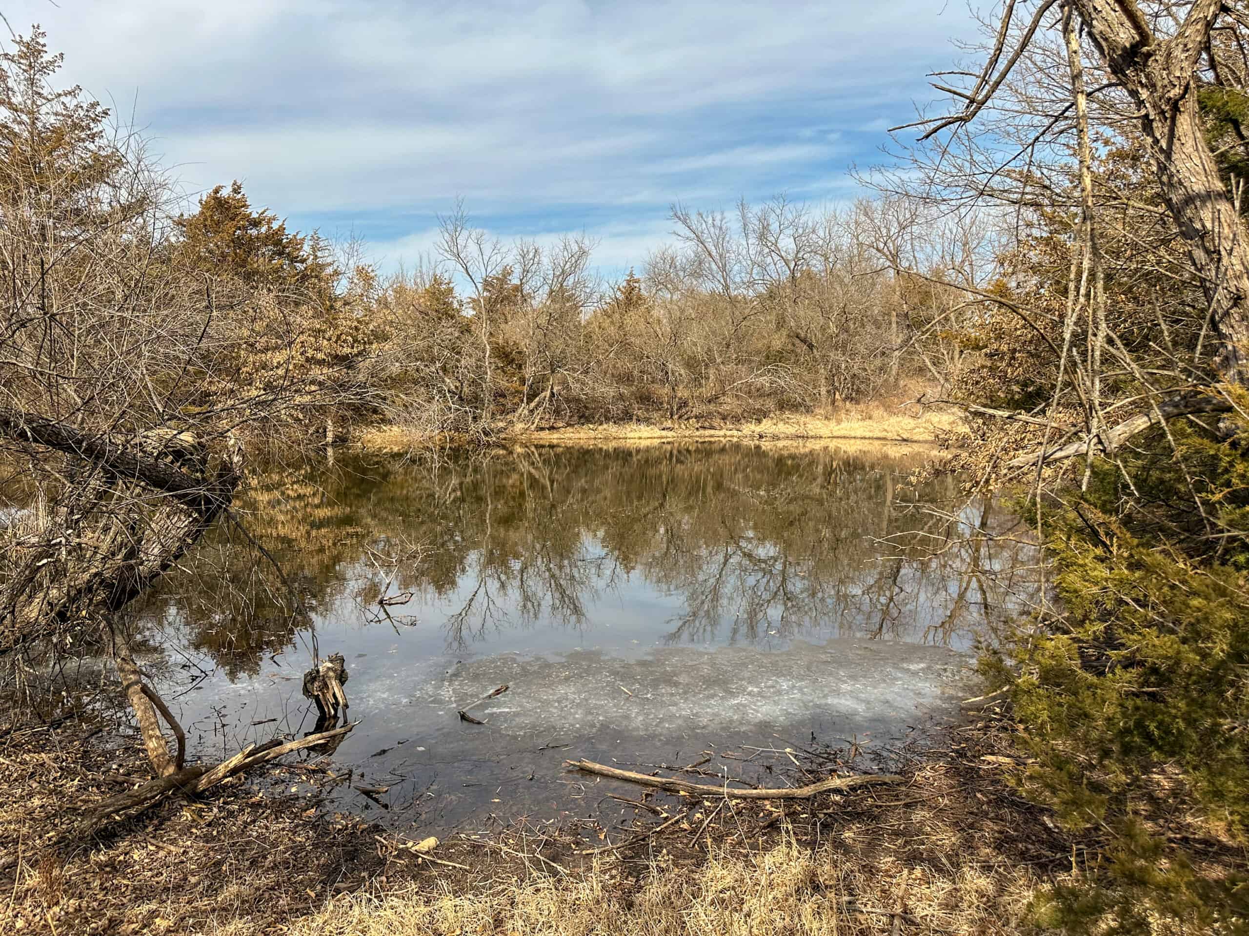 160+/- Acres | Timber, Open Ground & Prime Hunting Potential | Monroe County, IA