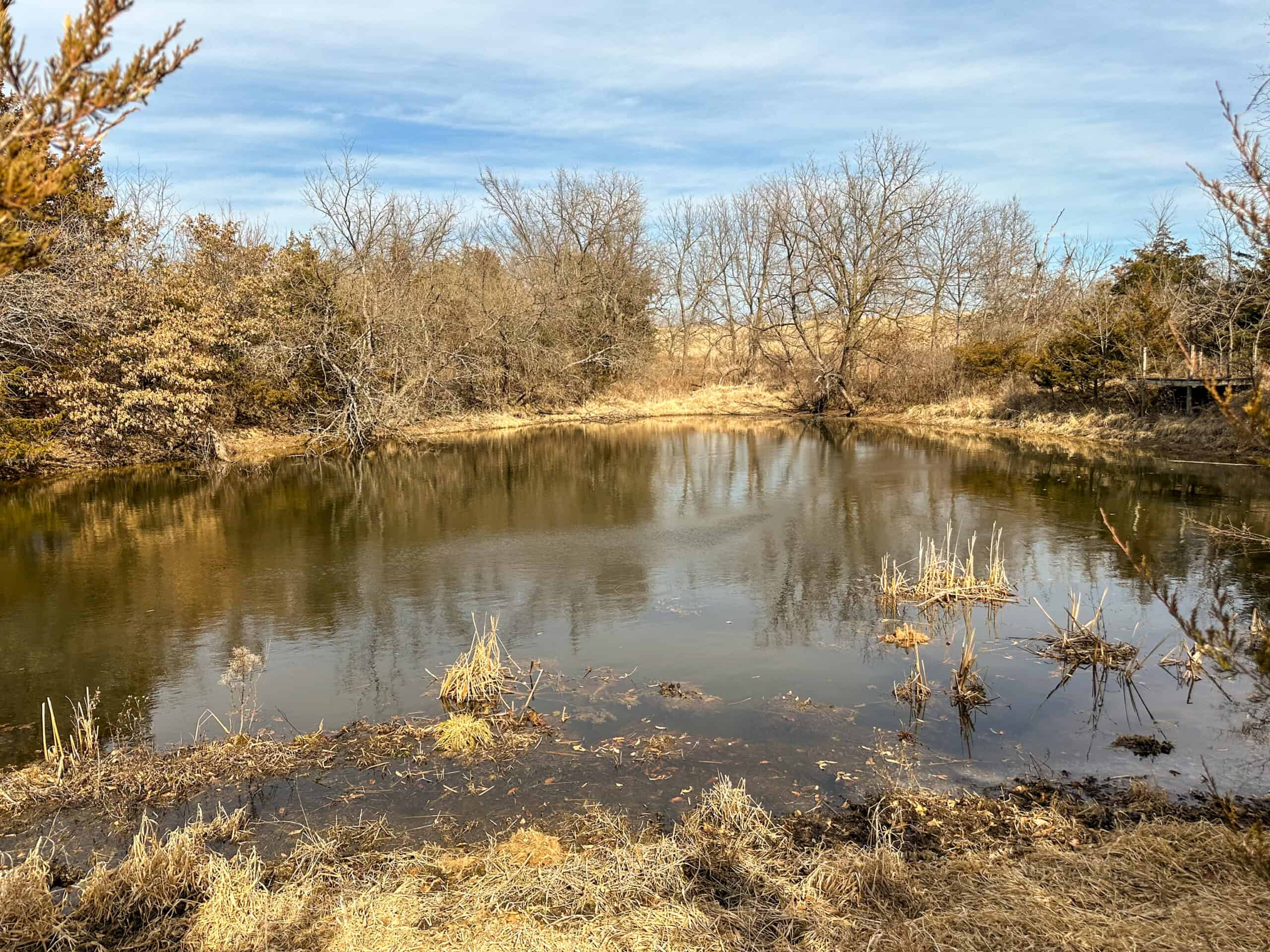 160+/- Acres | Timber, Open Ground & Prime Hunting Potential | Monroe County, IA