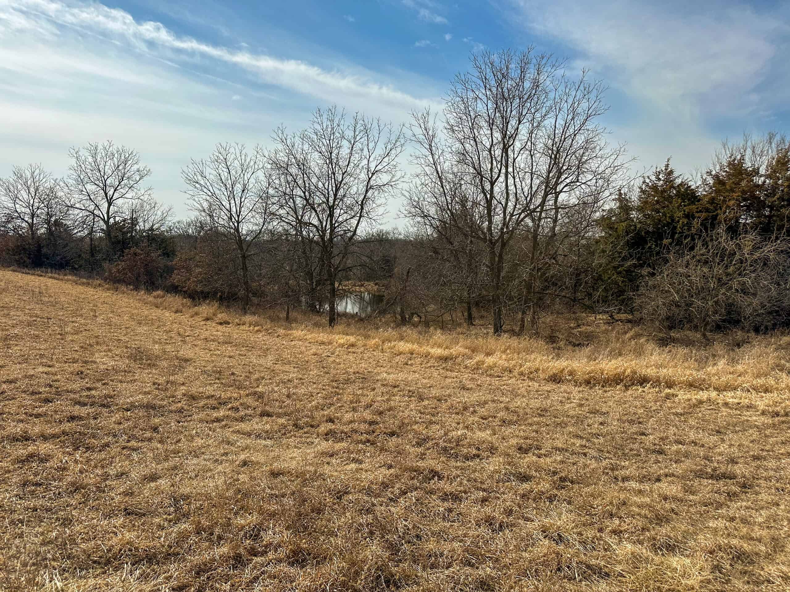 160+/- Acres | Timber, Open Ground & Prime Hunting Potential | Monroe County, IA