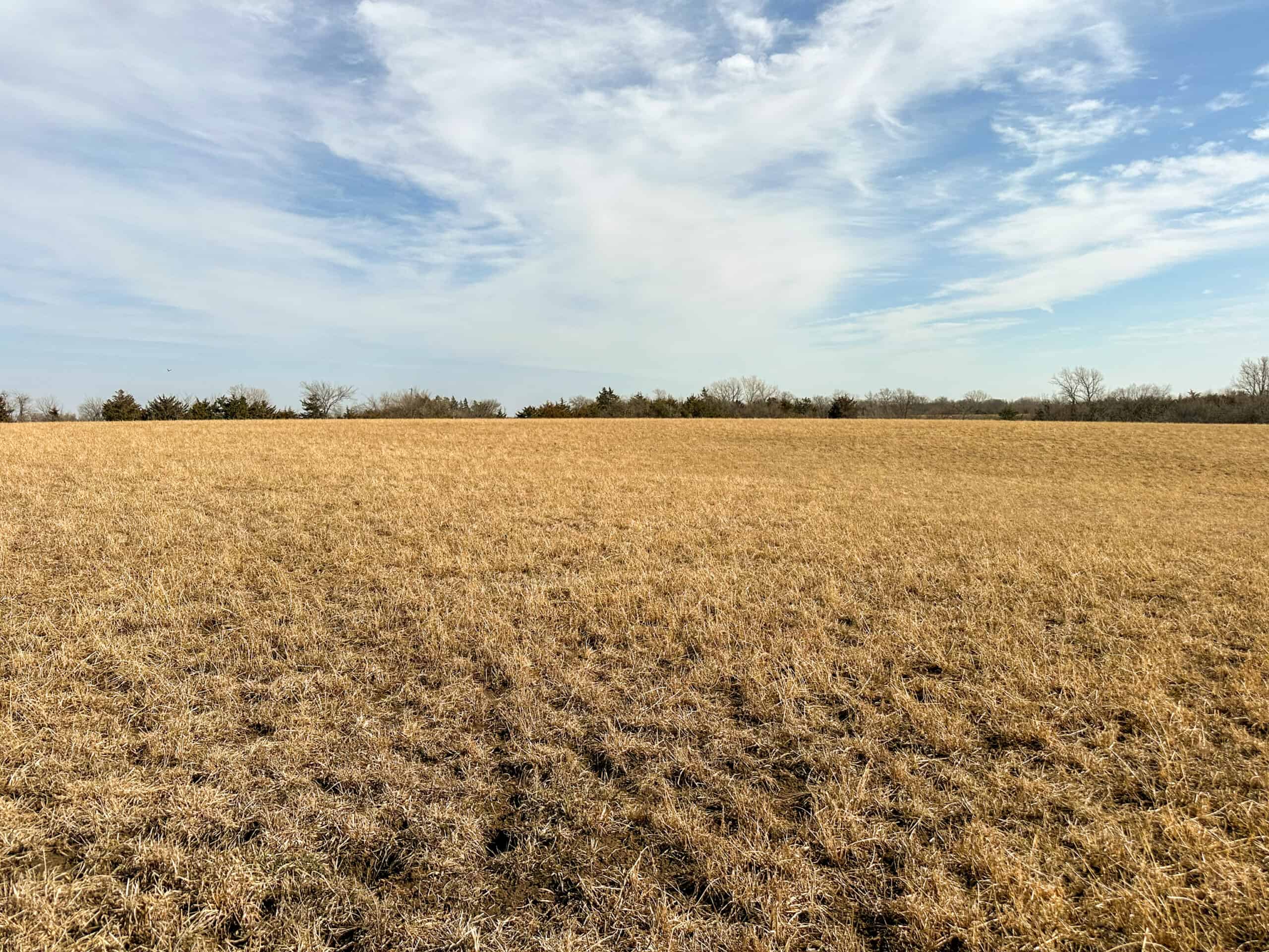 160+/- Acres | Timber, Open Ground & Prime Hunting Potential | Monroe County, IA