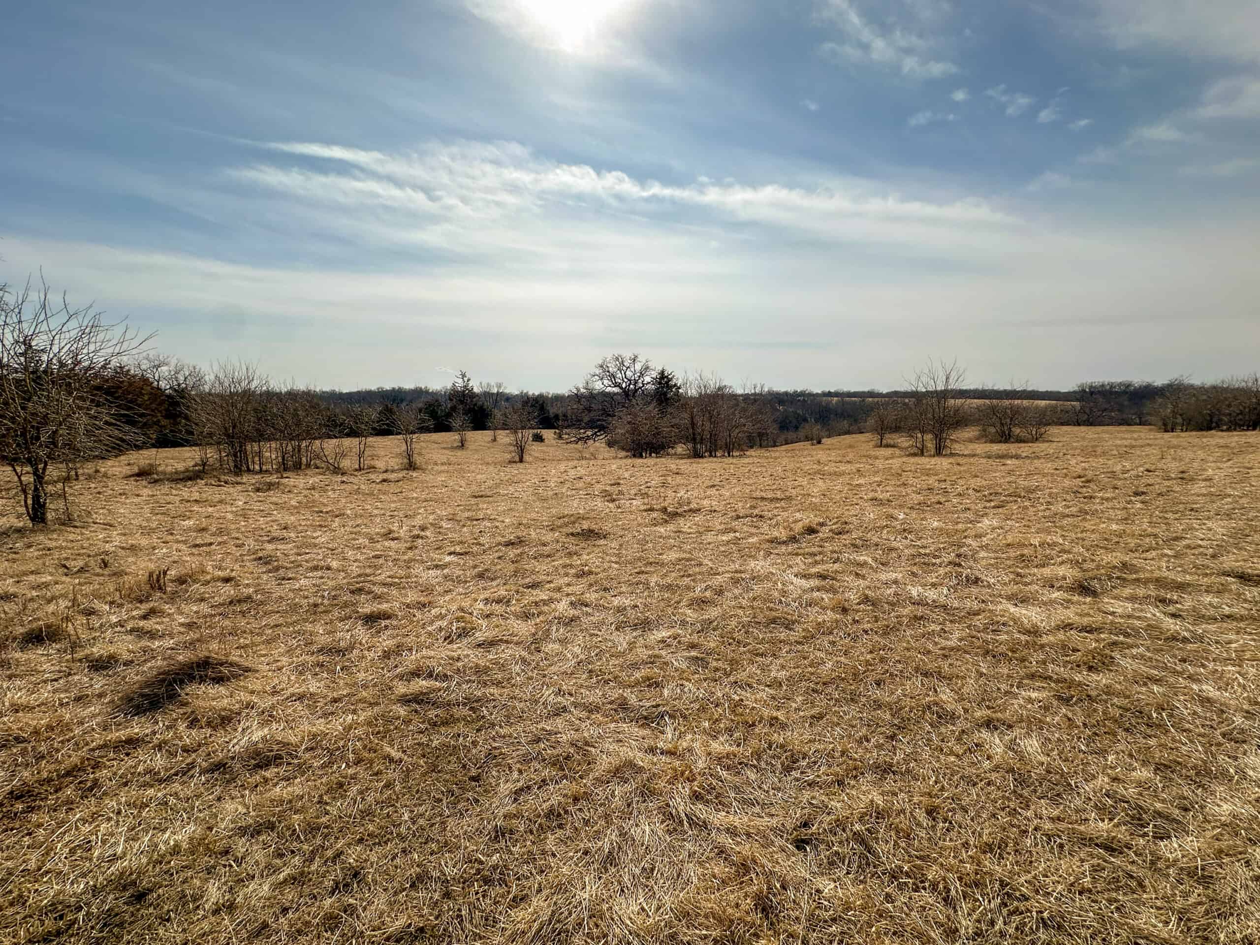 160+/- Acres | Timber, Open Ground & Prime Hunting Potential | Monroe County, IA