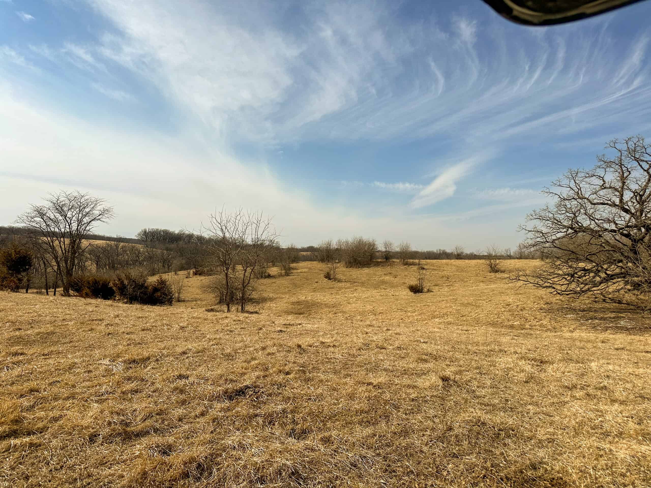 160+/- Acres | Timber, Open Ground & Prime Hunting Potential | Monroe County, IA