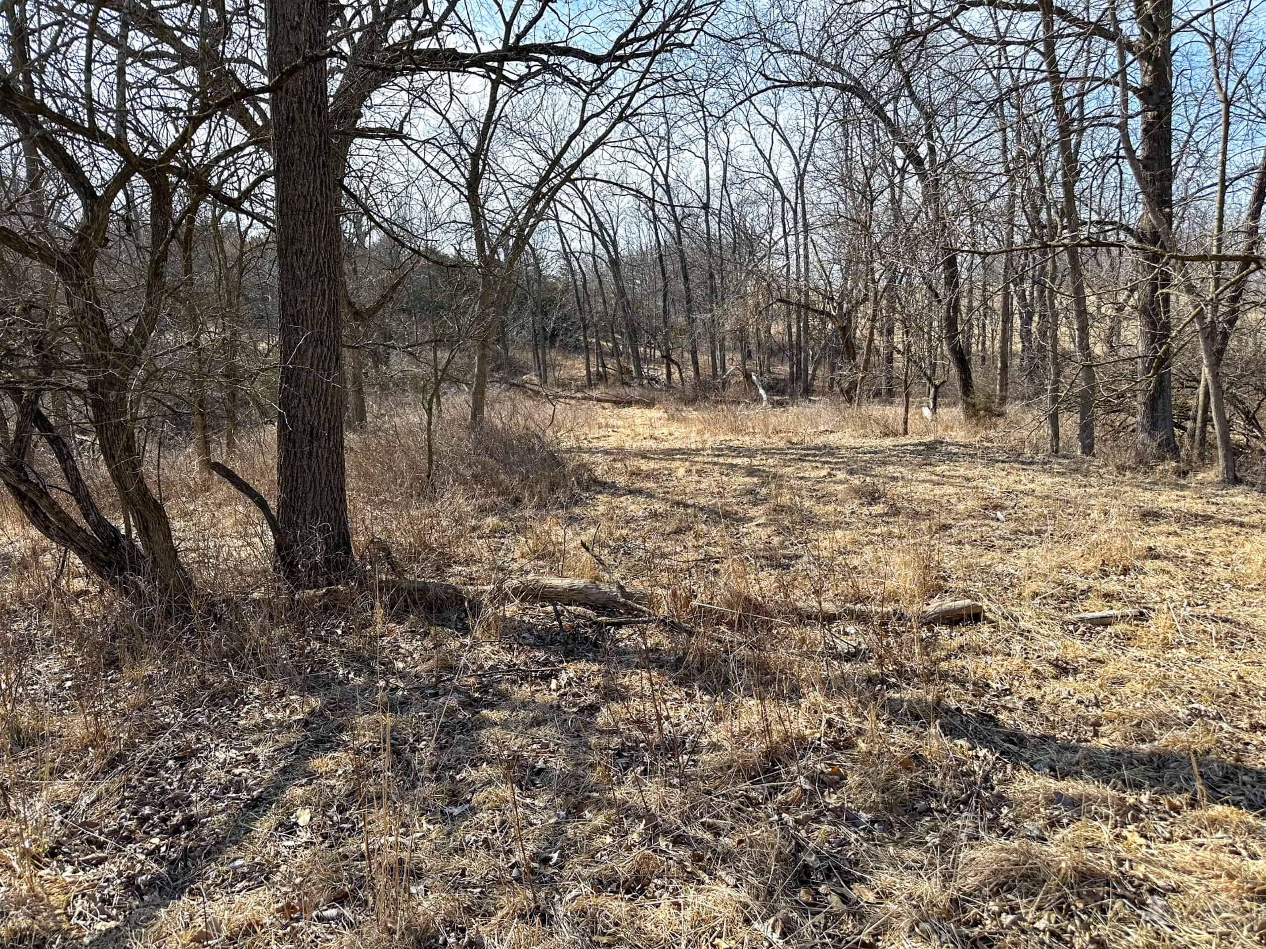 160+/- Acres | Timber, Open Ground & Prime Hunting Potential | Monroe County, IA