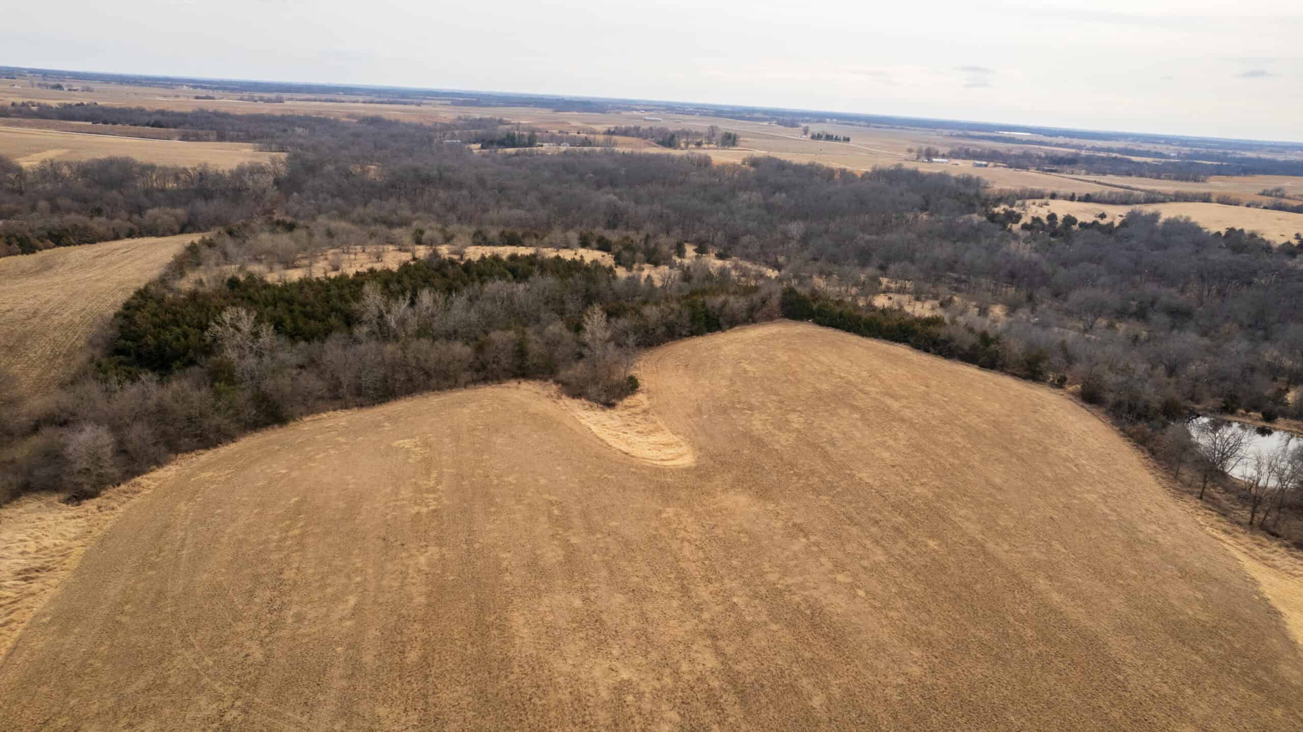 160+/- Acres | Timber, Open Ground & Prime Hunting Potential | Monroe County, IA