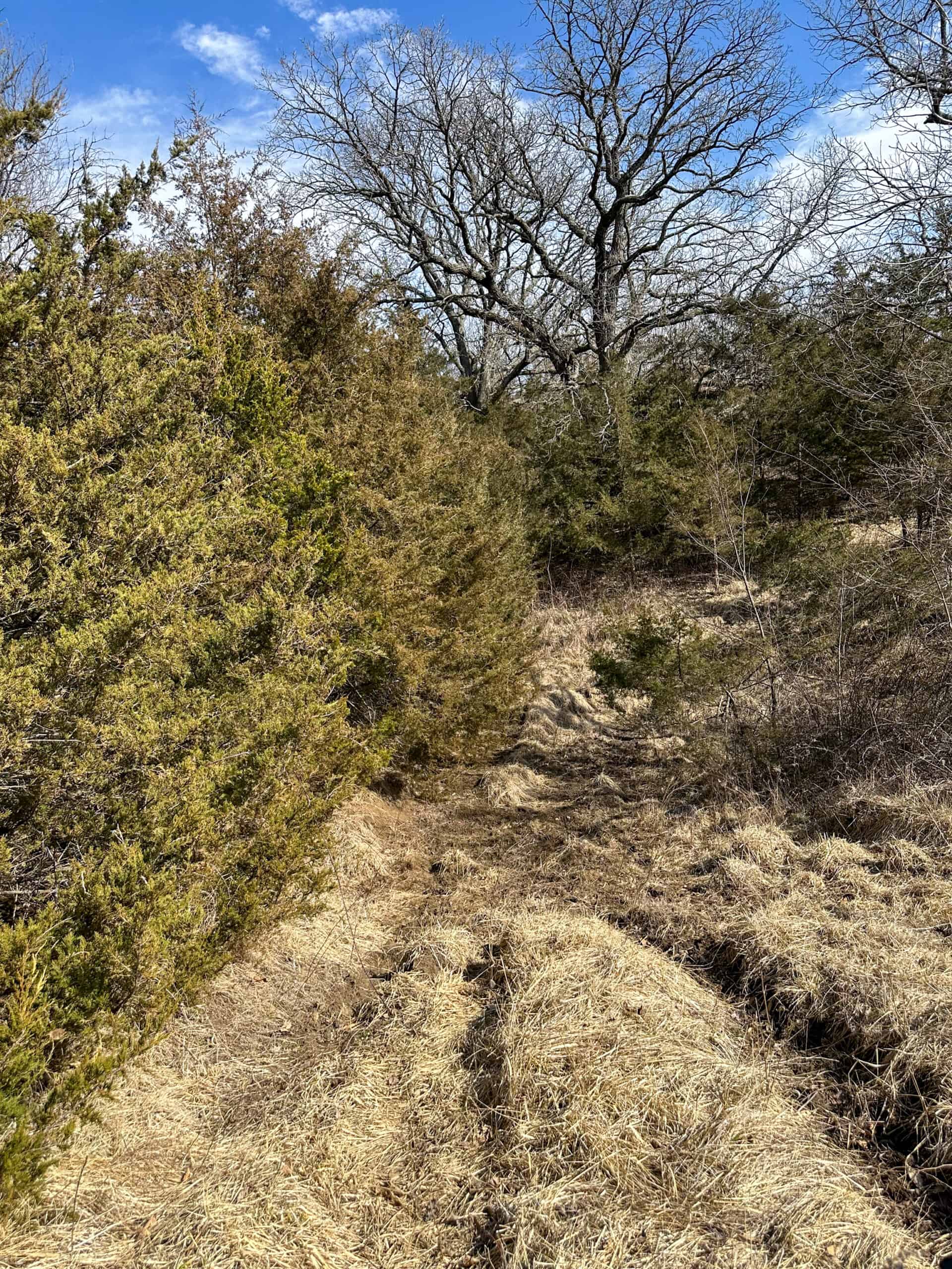 160+/- Acres | Timber, Open Ground & Prime Hunting Potential | Monroe County, IA