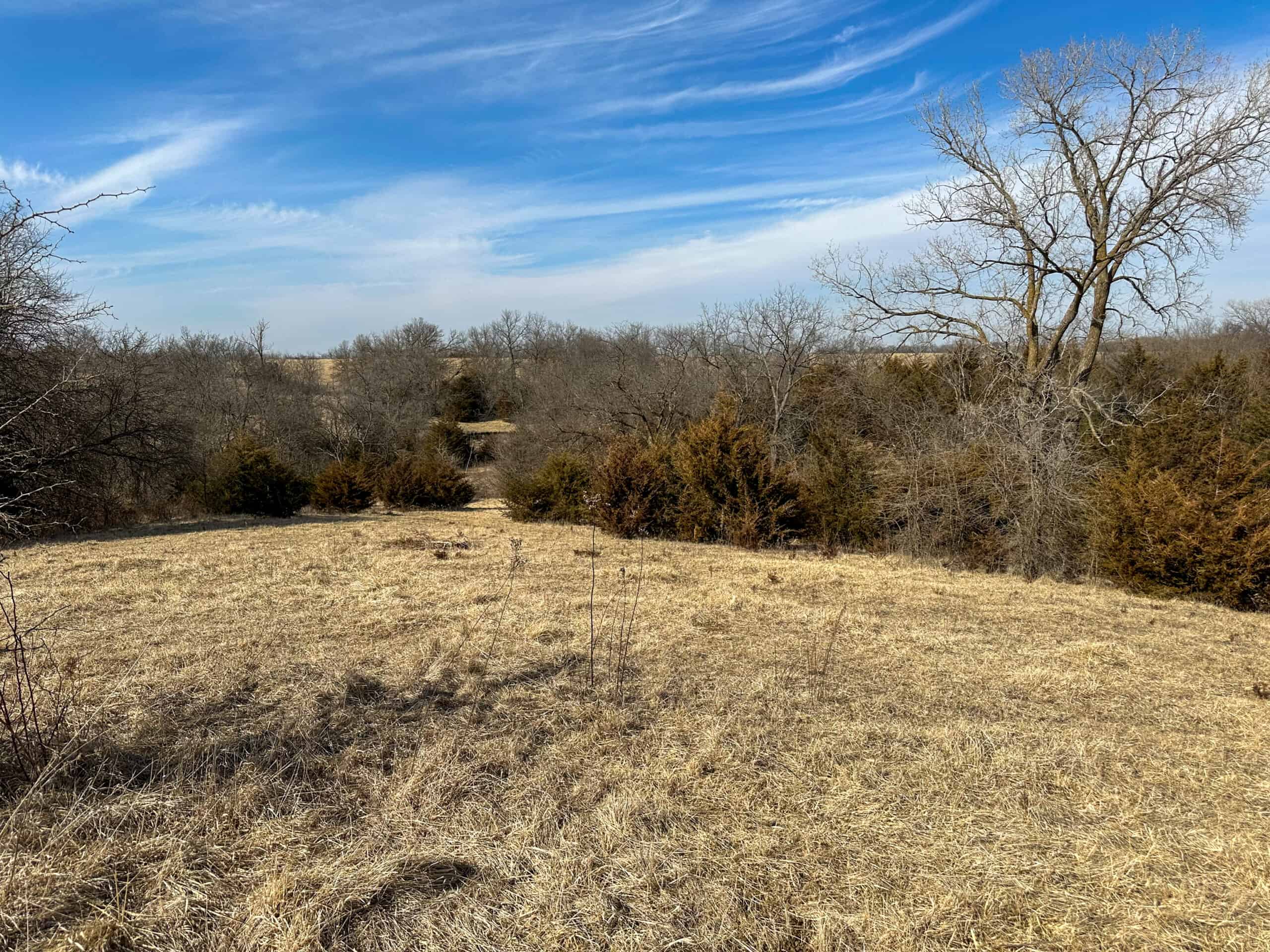160+/- Acres | Timber, Open Ground & Prime Hunting Potential | Monroe County, IA