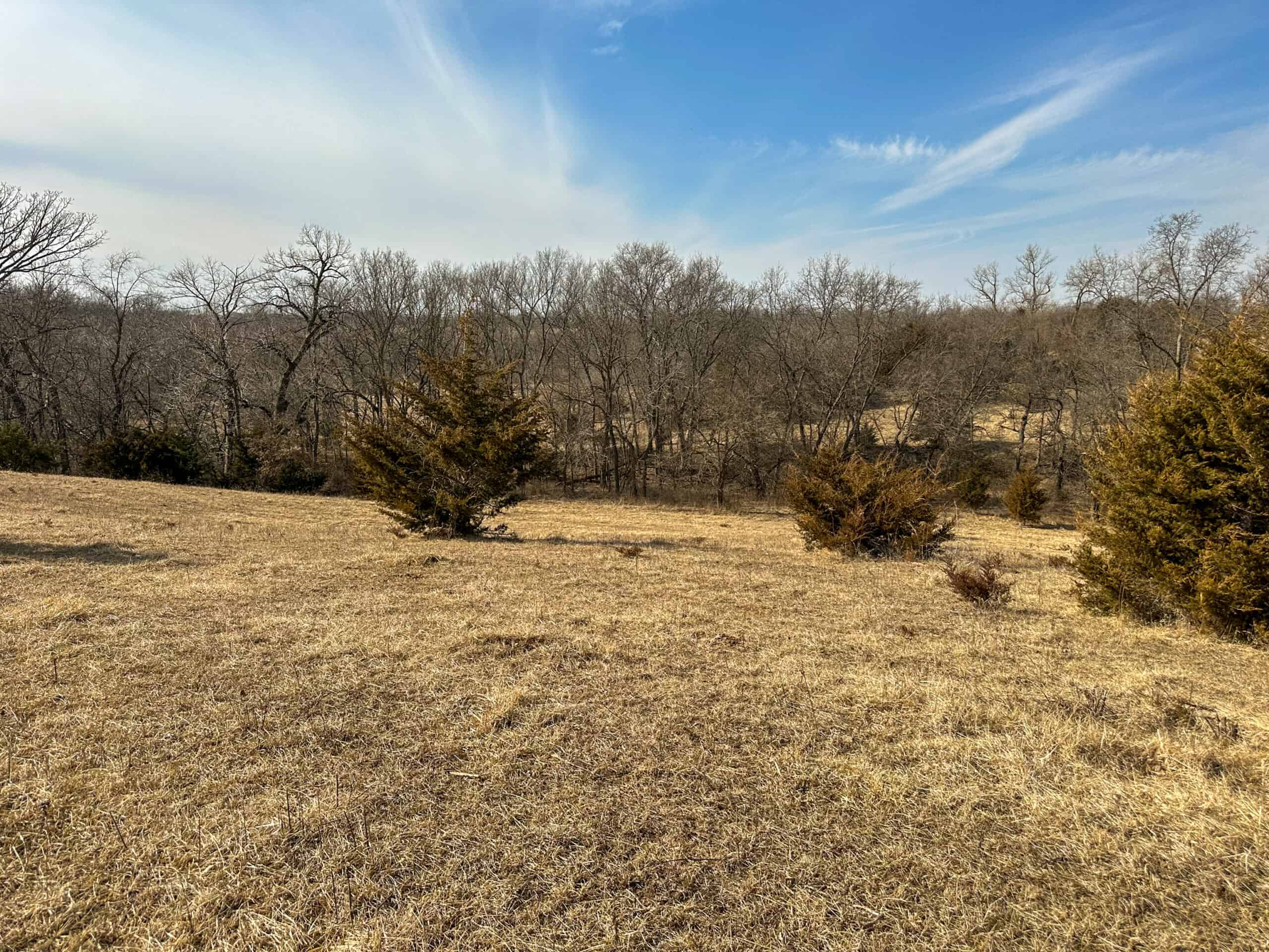 160+/- Acres | Timber, Open Ground & Prime Hunting Potential | Monroe County, IA