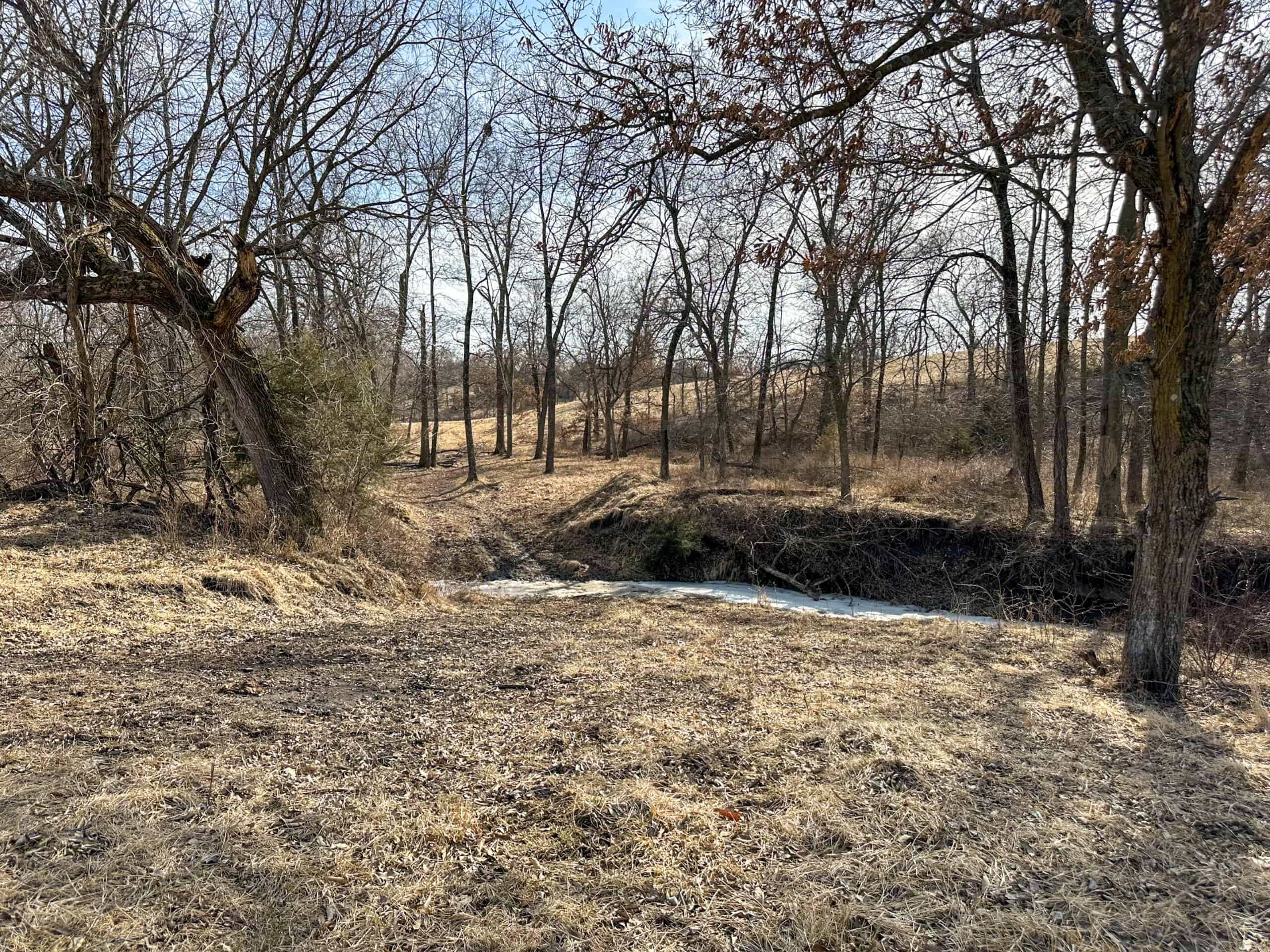160+/- Acres | Timber, Open Ground & Prime Hunting Potential | Monroe County, IA