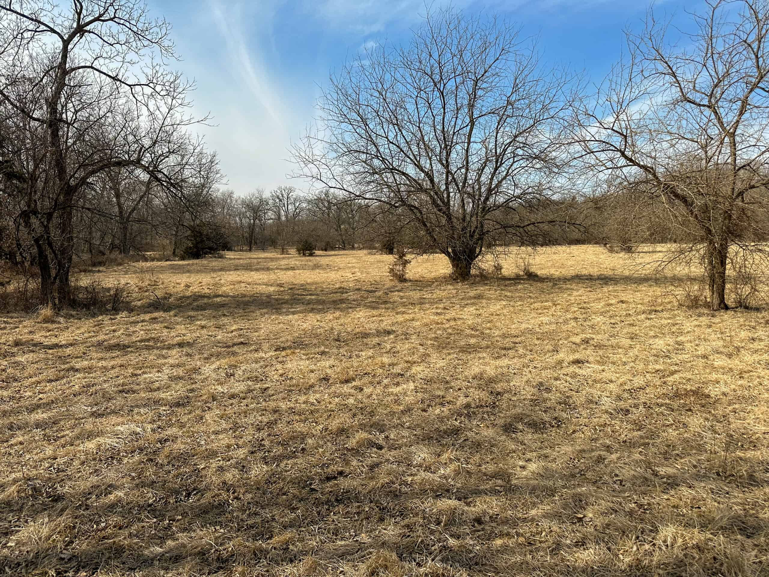 160+/- Acres | Timber, Open Ground & Prime Hunting Potential | Monroe County, IA