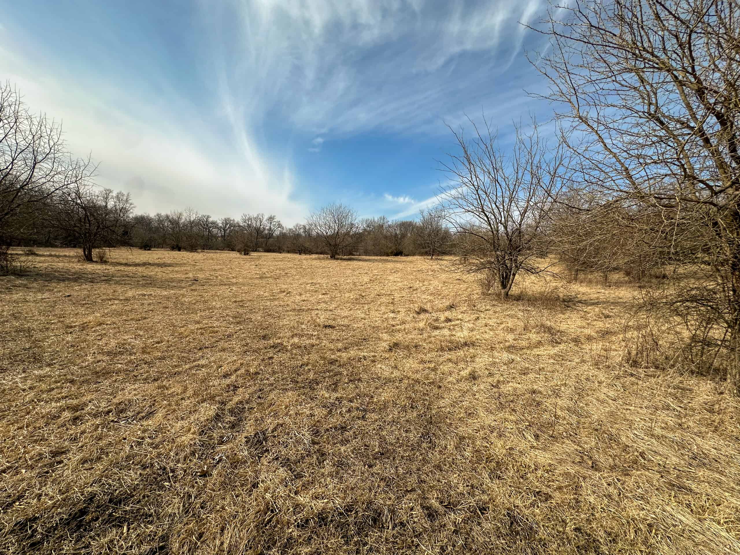 160+/- Acres | Timber, Open Ground & Prime Hunting Potential | Monroe County, IA