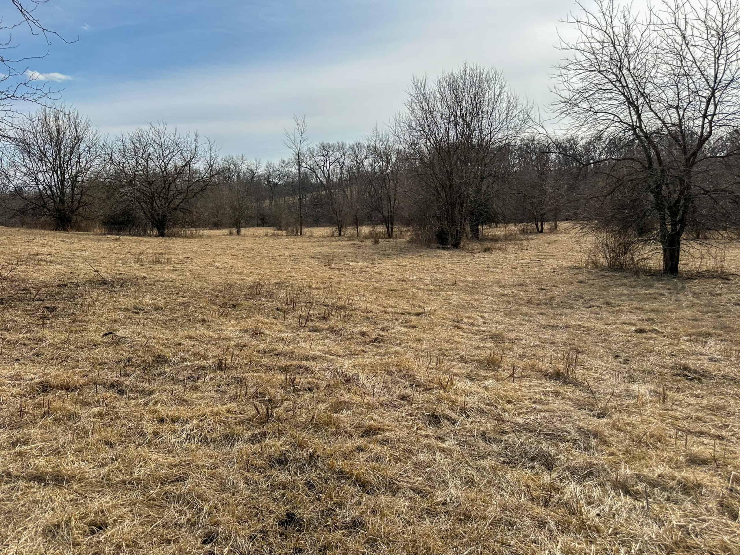 160+/- Acres | Timber, Open Ground & Prime Hunting Potential | Monroe County, IA