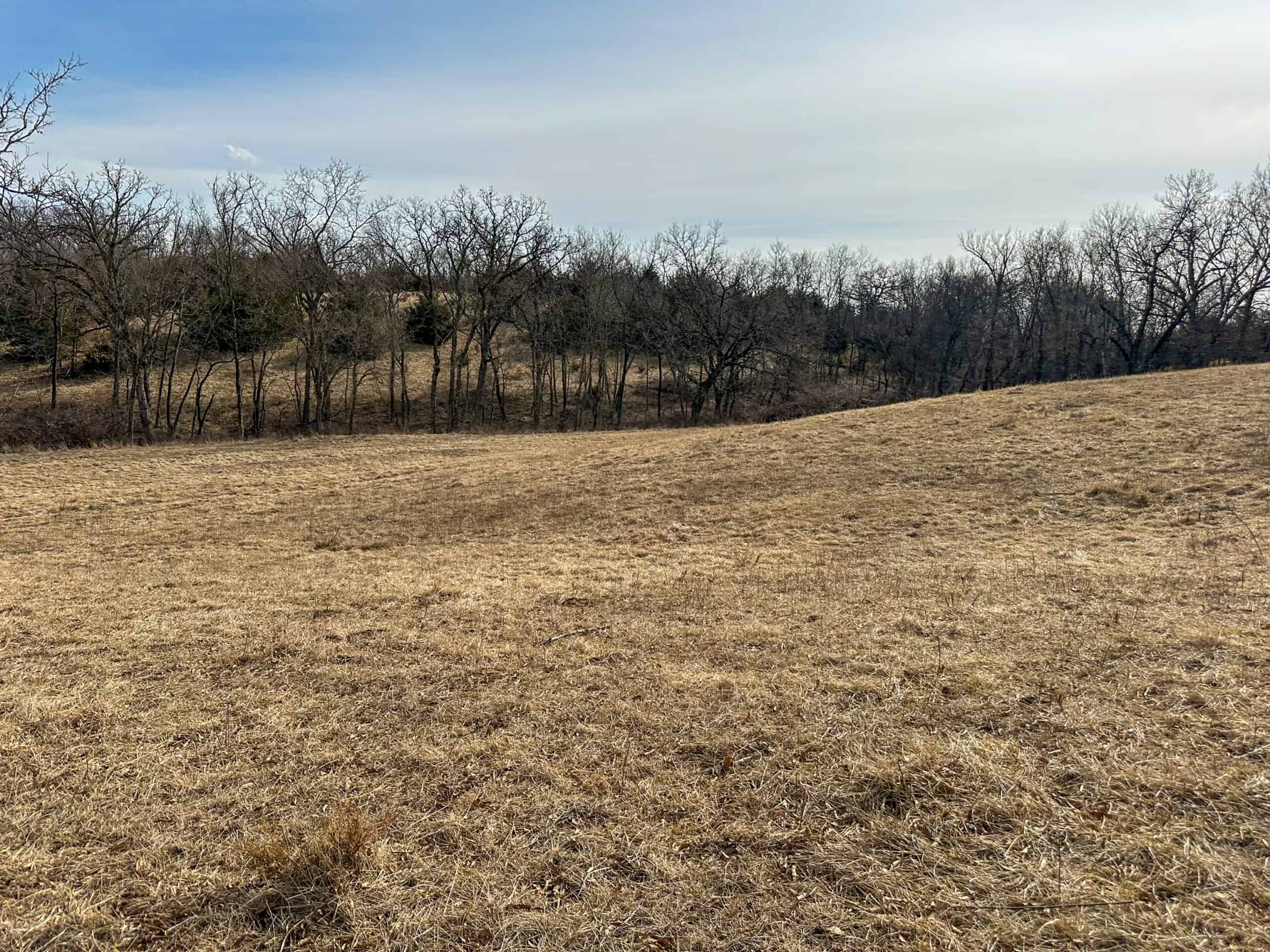 160+/- Acres | Timber, Open Ground & Prime Hunting Potential | Monroe County, IA