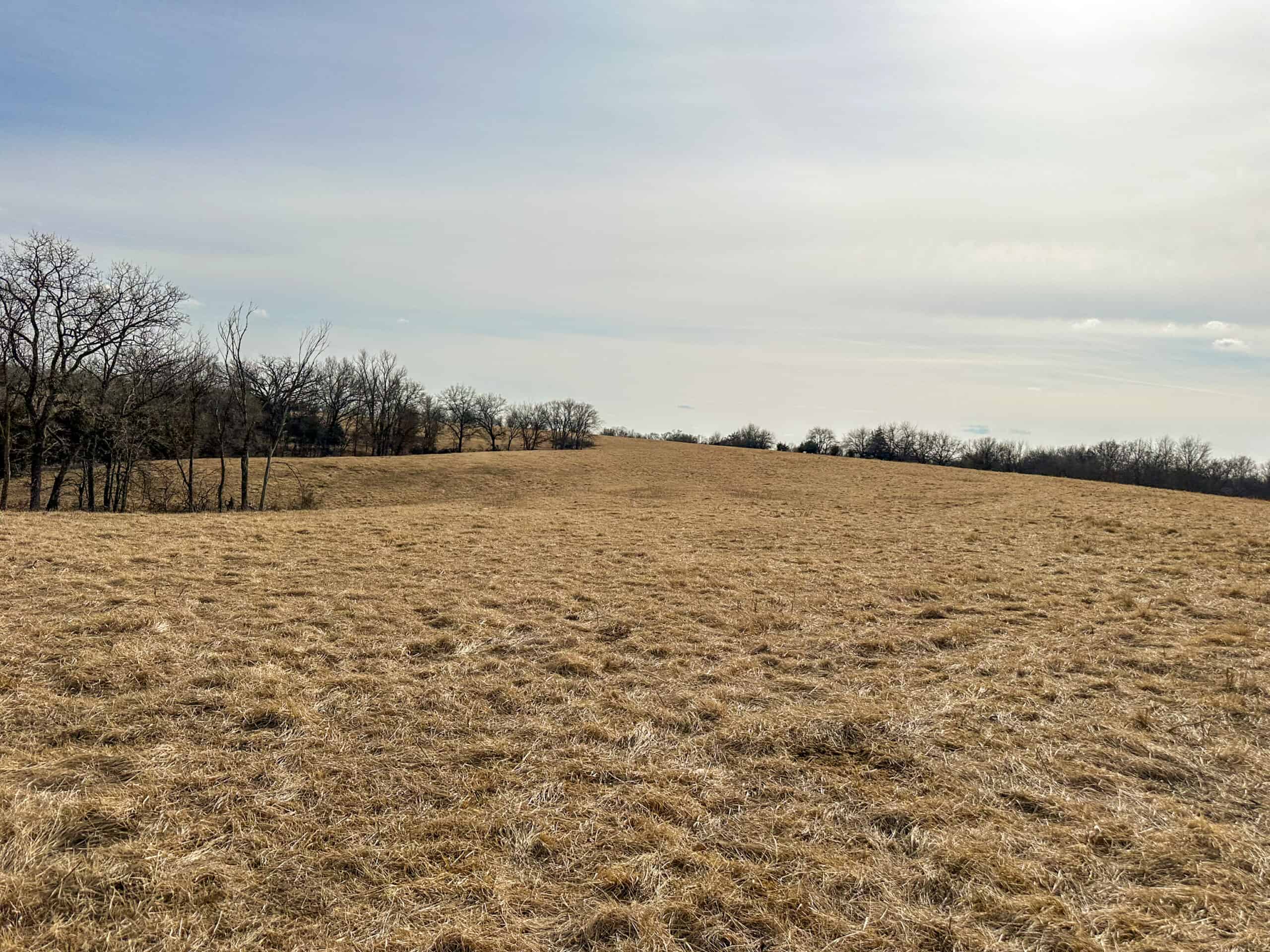 160+/- Acres | Timber, Open Ground & Prime Hunting Potential | Monroe County, IA