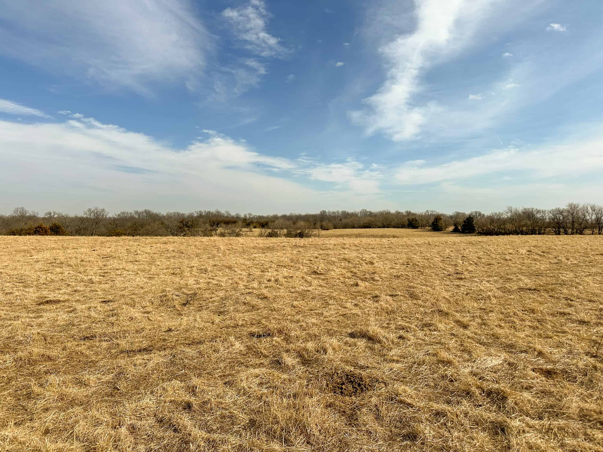 160+/- Acres | Timber, Open Ground & Prime Hunting Potential | Monroe County, IA