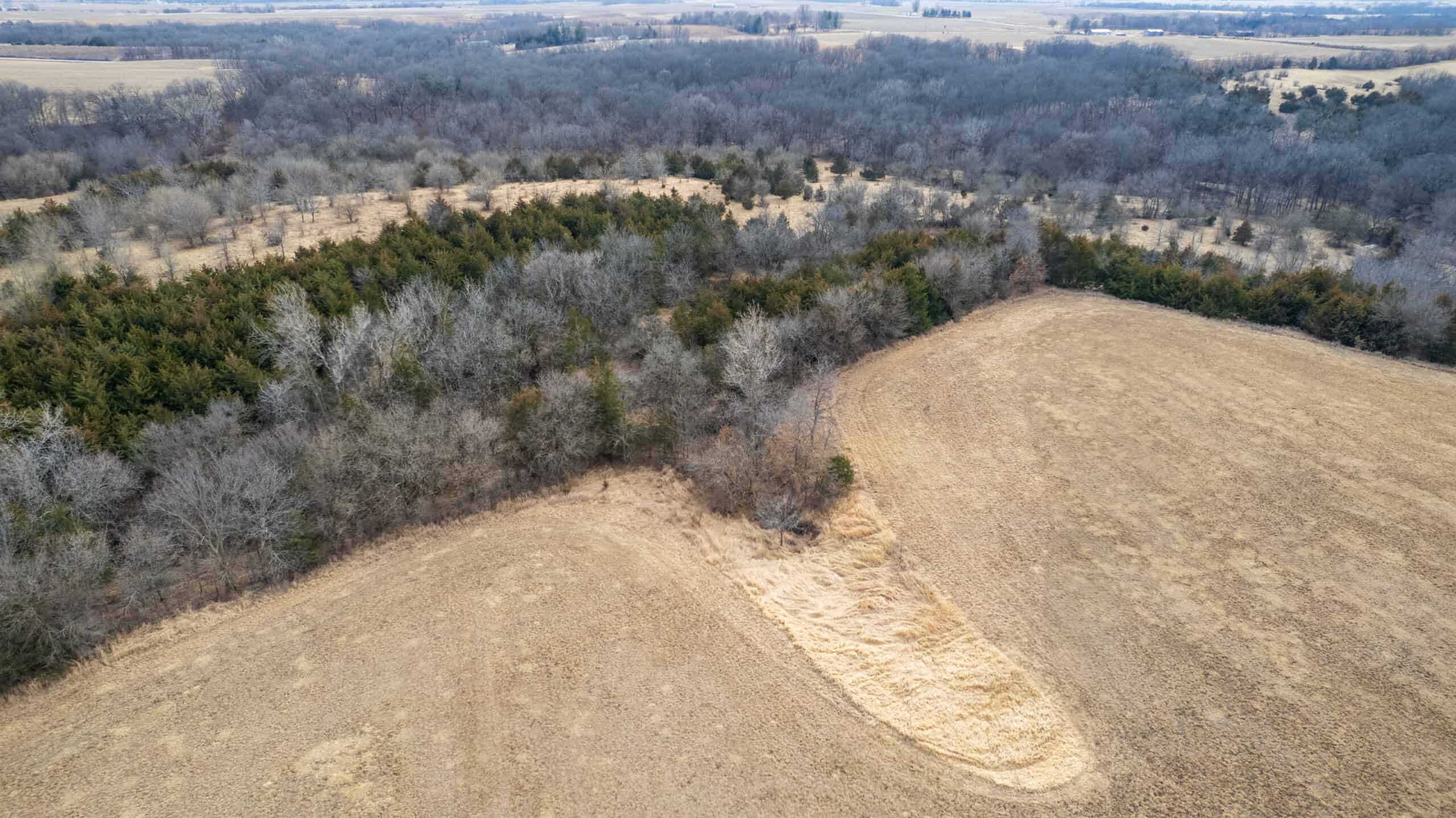 160+/- Acres | Timber, Open Ground & Prime Hunting Potential | Monroe County, IA