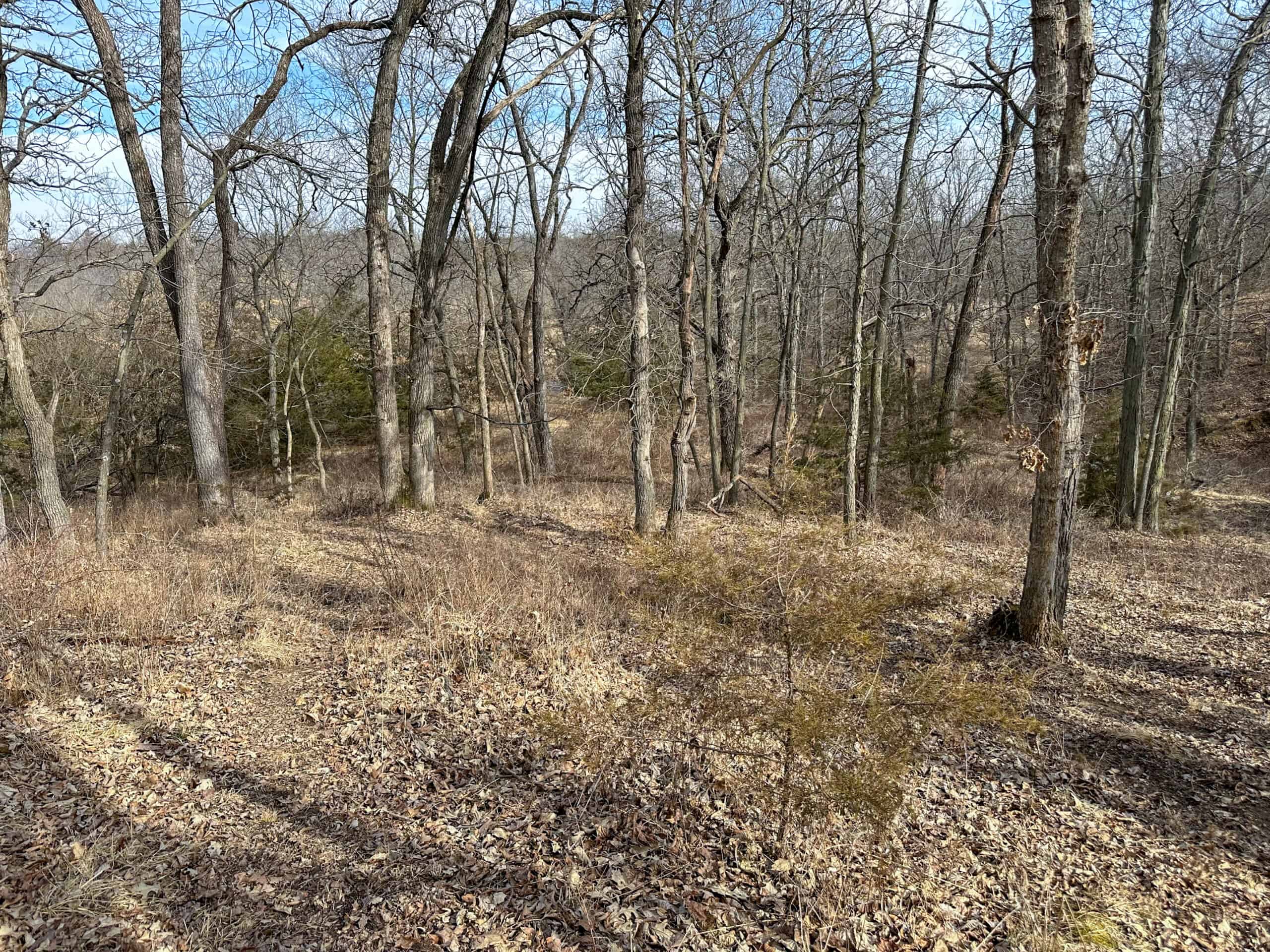 160+/- Acres | Timber, Open Ground & Prime Hunting Potential | Monroe County, IA