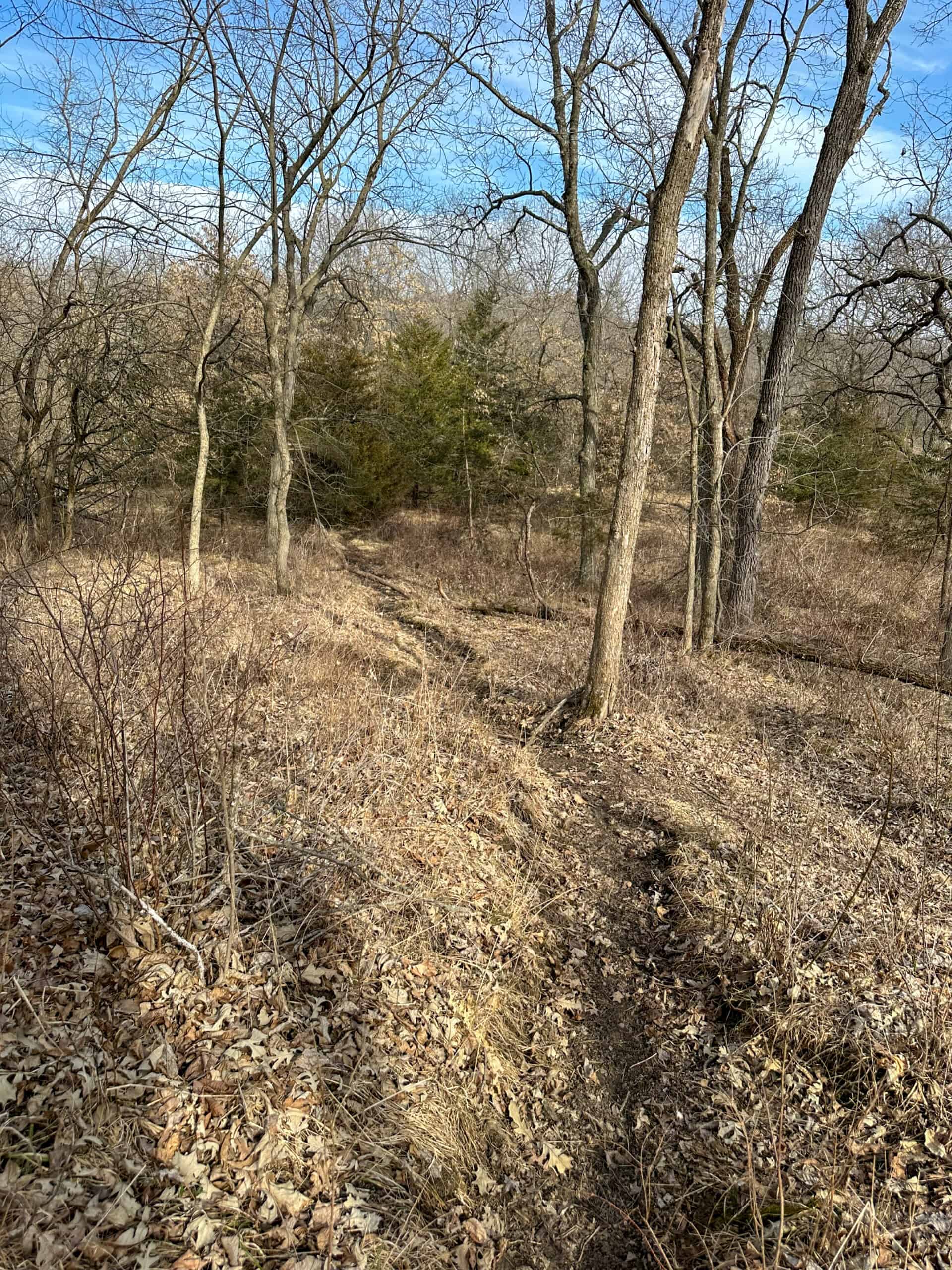 160+/- Acres | Timber, Open Ground & Prime Hunting Potential | Monroe County, IA