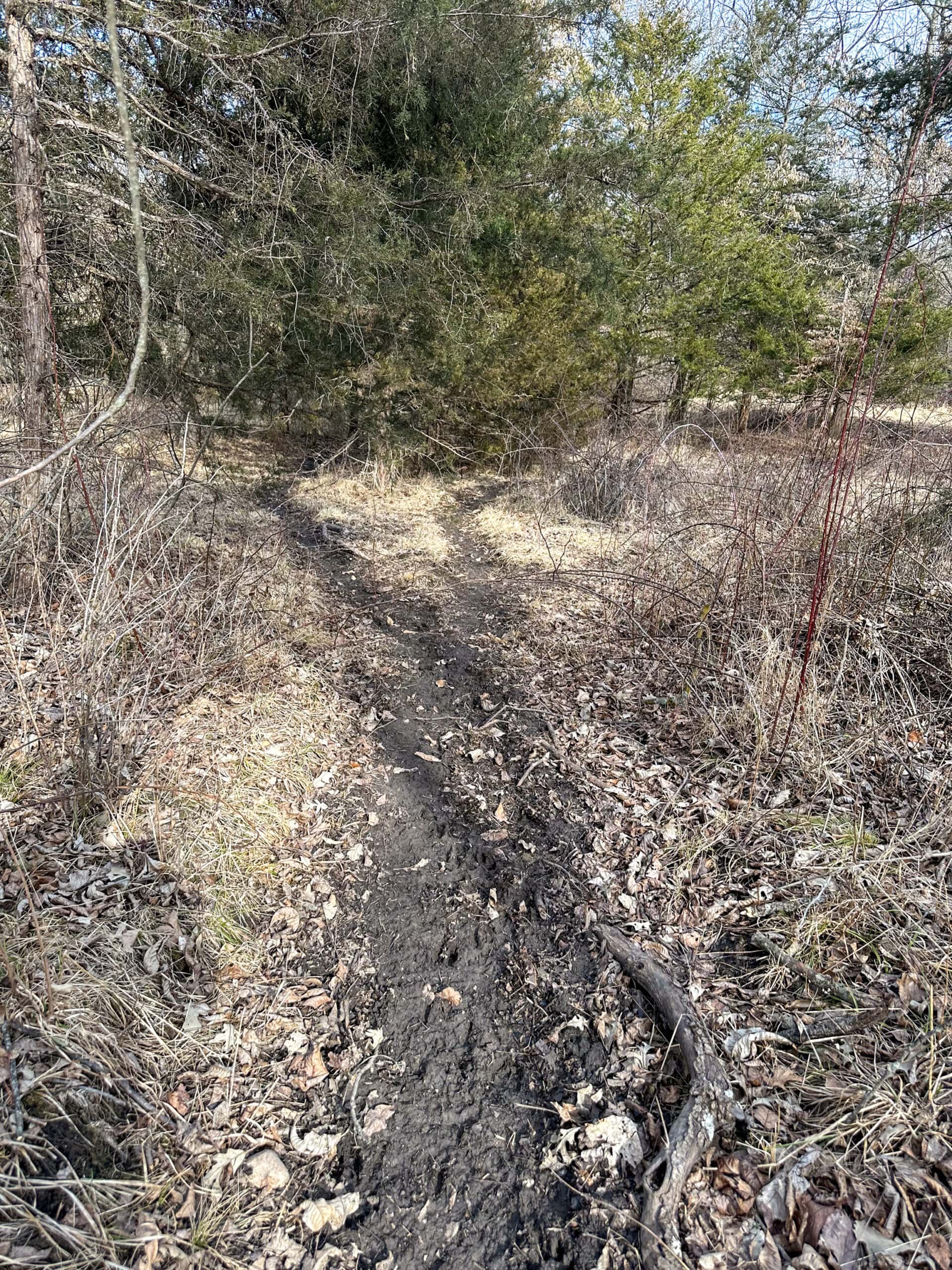 160+/- Acres | Timber, Open Ground & Prime Hunting Potential | Monroe County, IA