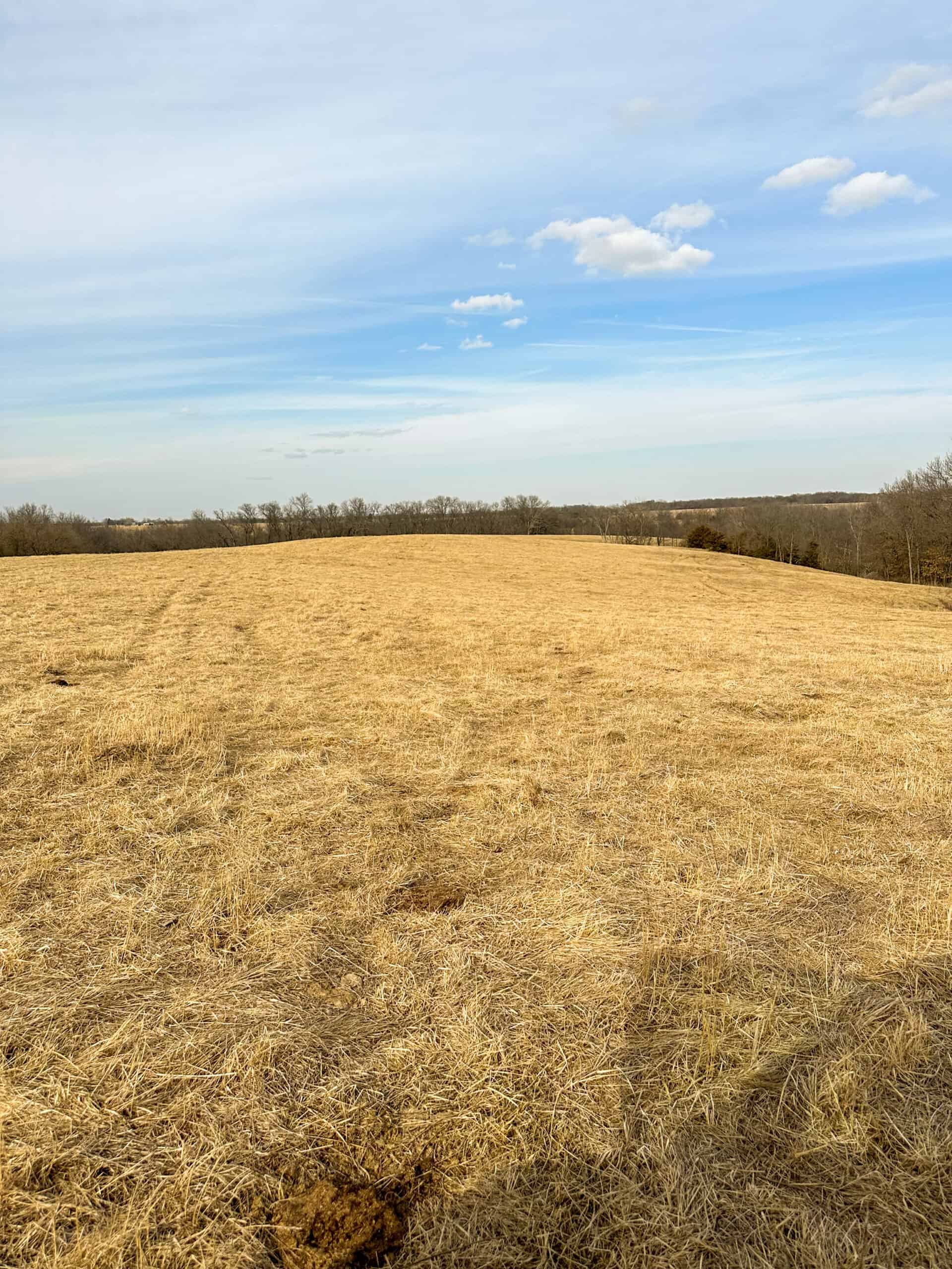 160+/- Acres | Timber, Open Ground & Prime Hunting Potential | Monroe County, IA
