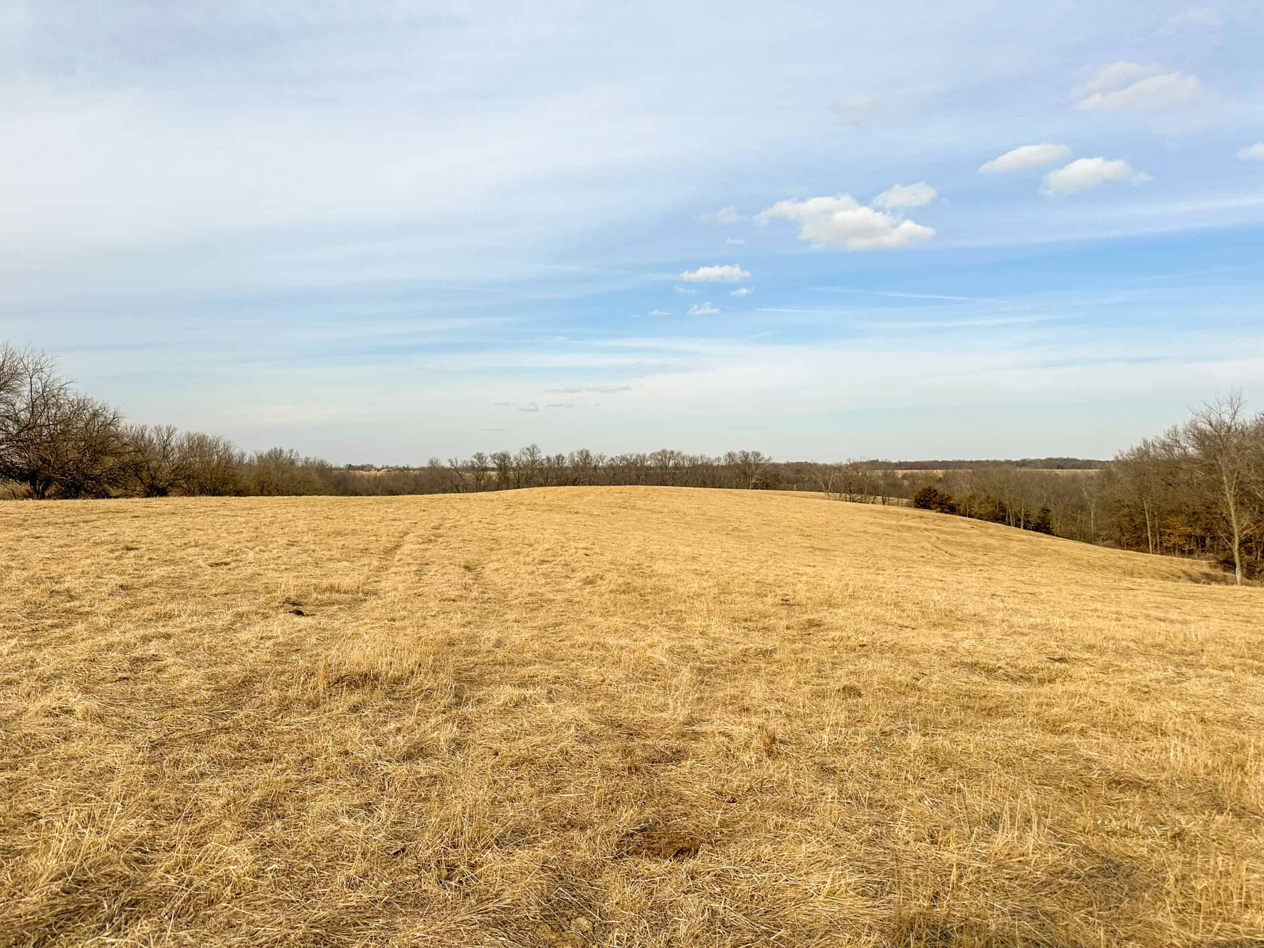 160+/- Acres | Timber, Open Ground & Prime Hunting Potential | Monroe County, IA