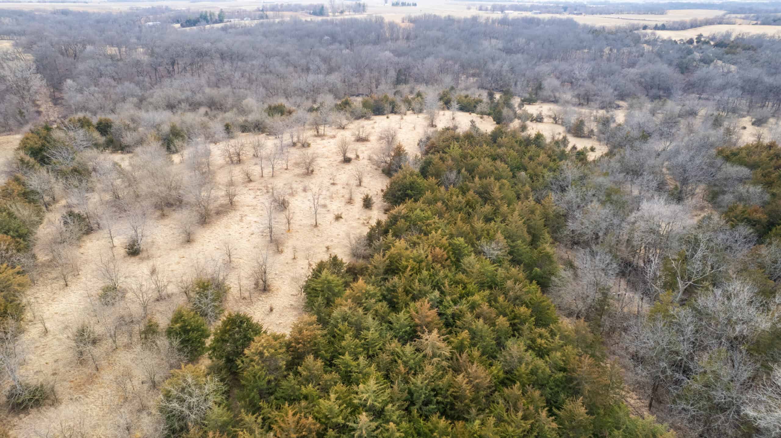 160+/- Acres | Timber, Open Ground & Prime Hunting Potential | Monroe County, IA