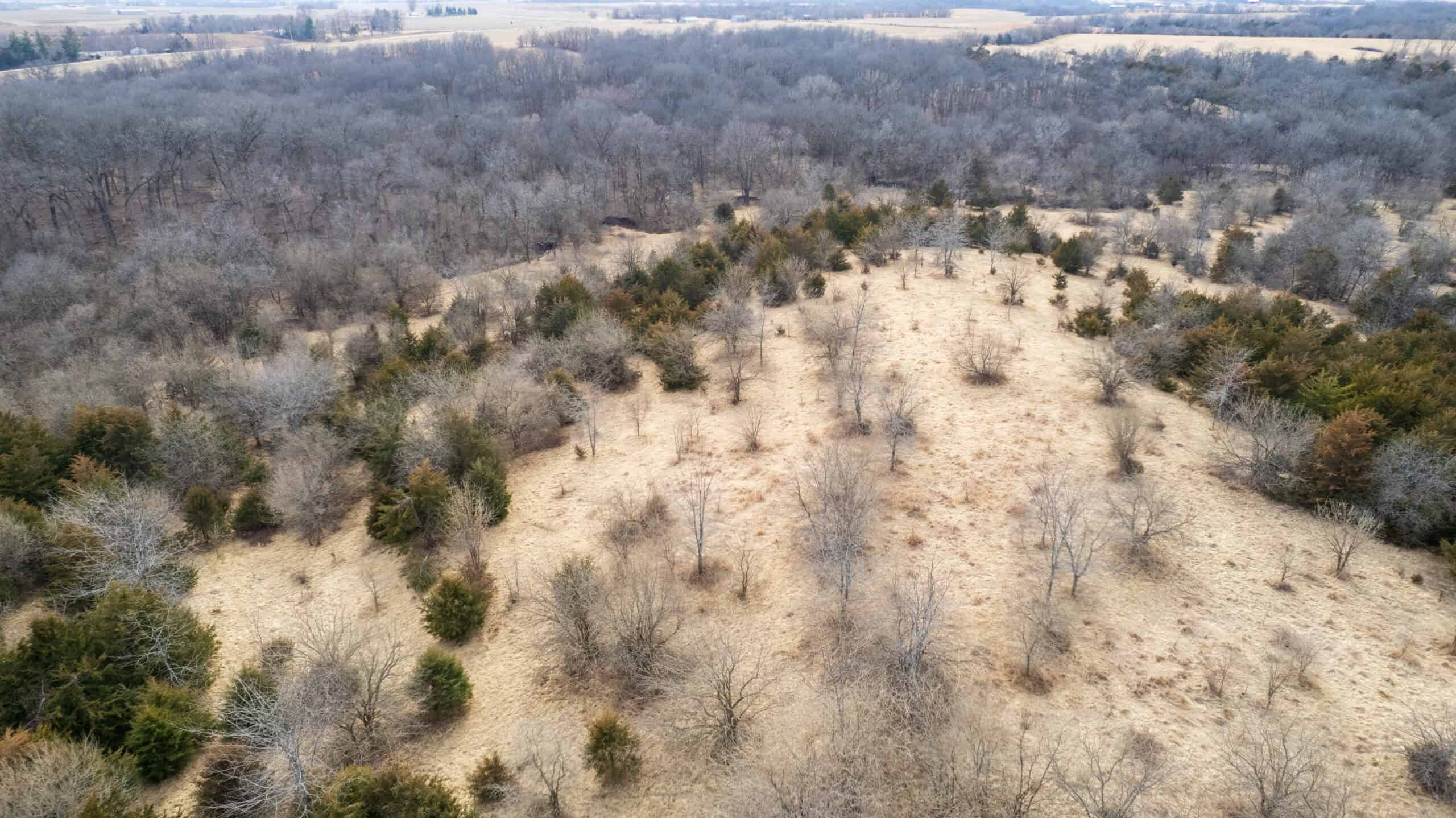 160+/- Acres | Timber, Open Ground & Prime Hunting Potential | Monroe County, IA