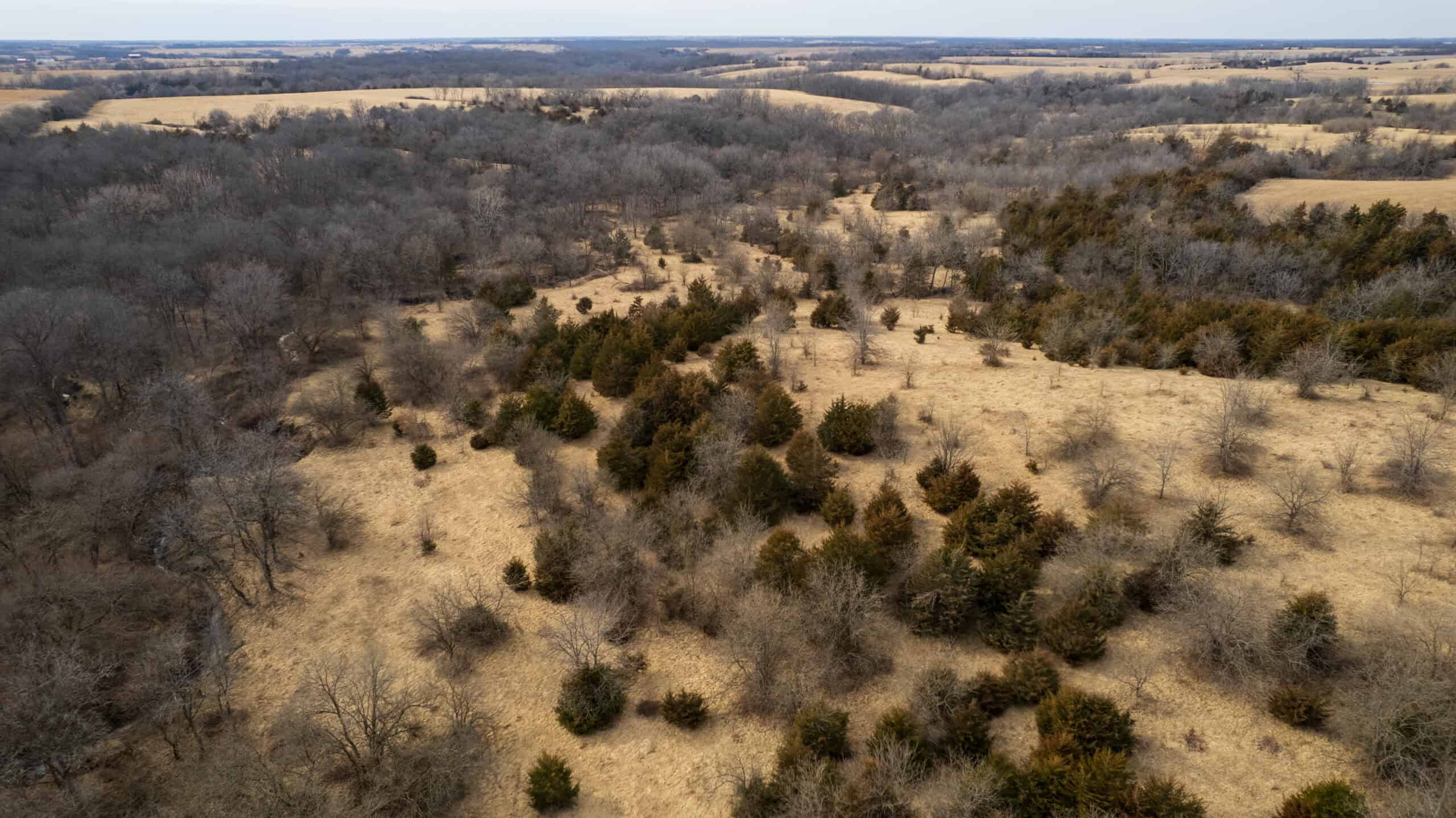 160+/- Acres | Timber, Open Ground & Prime Hunting Potential | Monroe County, IA