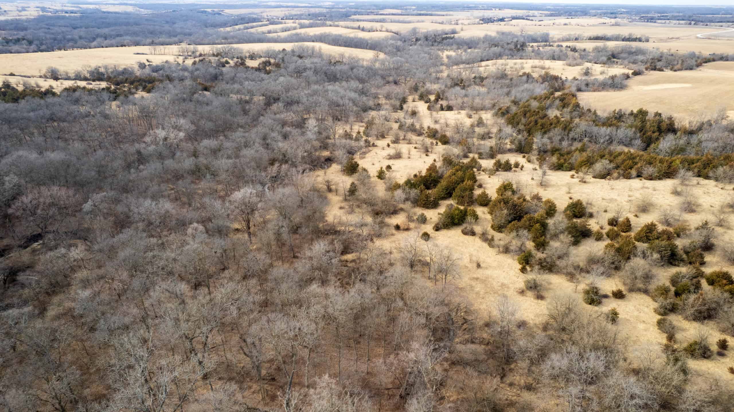 160+/- Acres | Timber, Open Ground & Prime Hunting Potential | Monroe County, IA