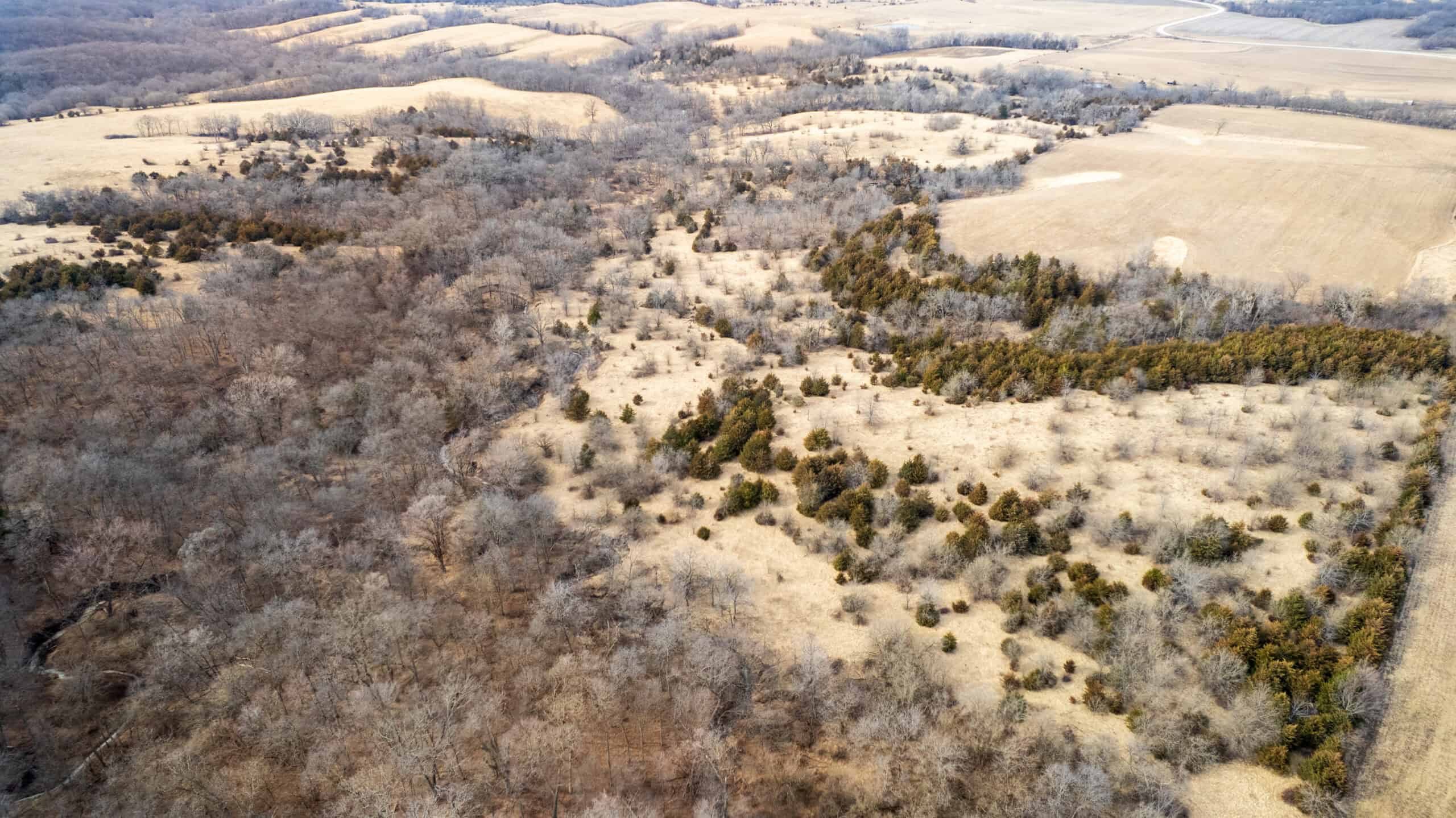 160+/- Acres | Timber, Open Ground & Prime Hunting Potential | Monroe County, IA