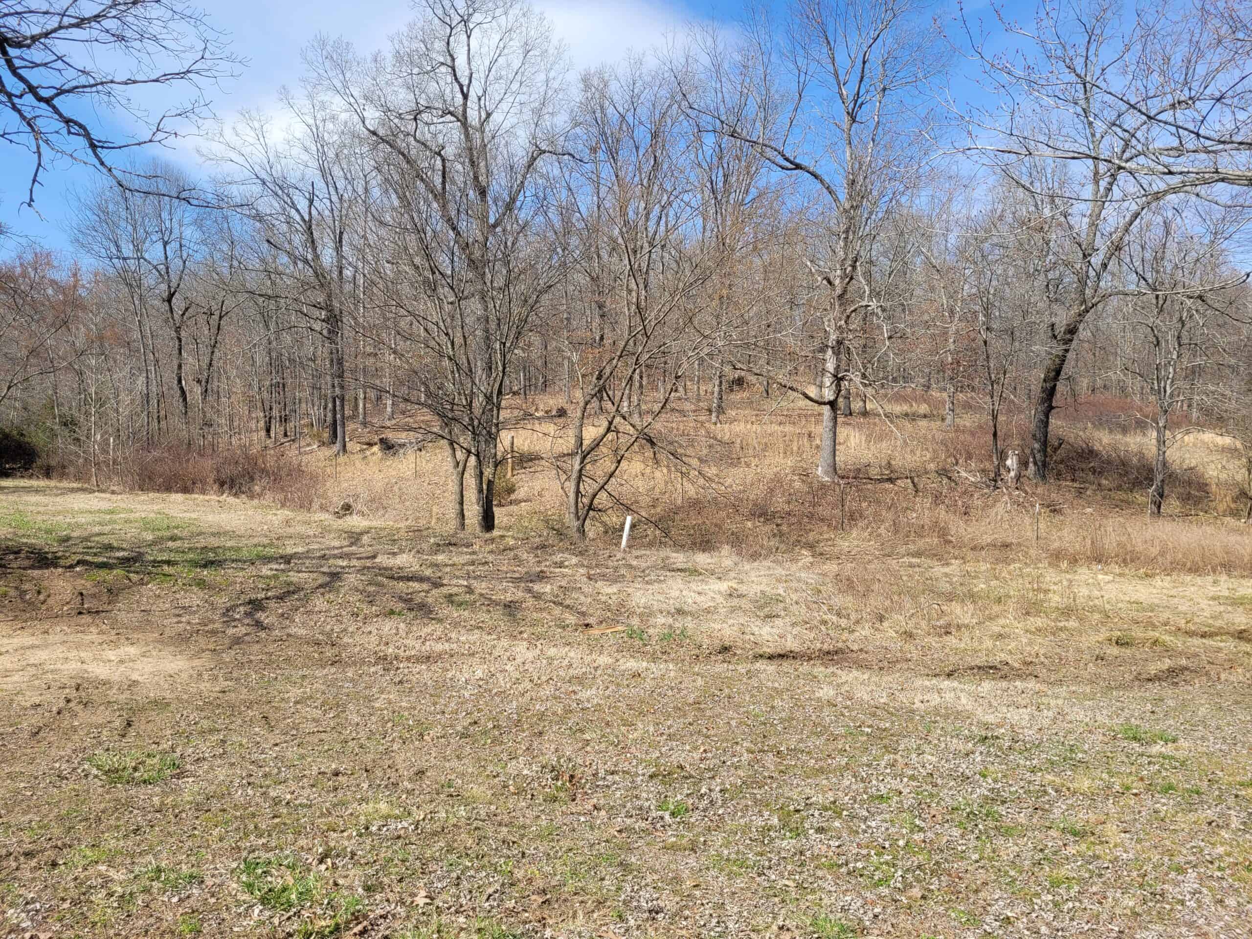 OZARKS CABIN AND HOBBY FARM/RECREATIONAL ACREAGE
