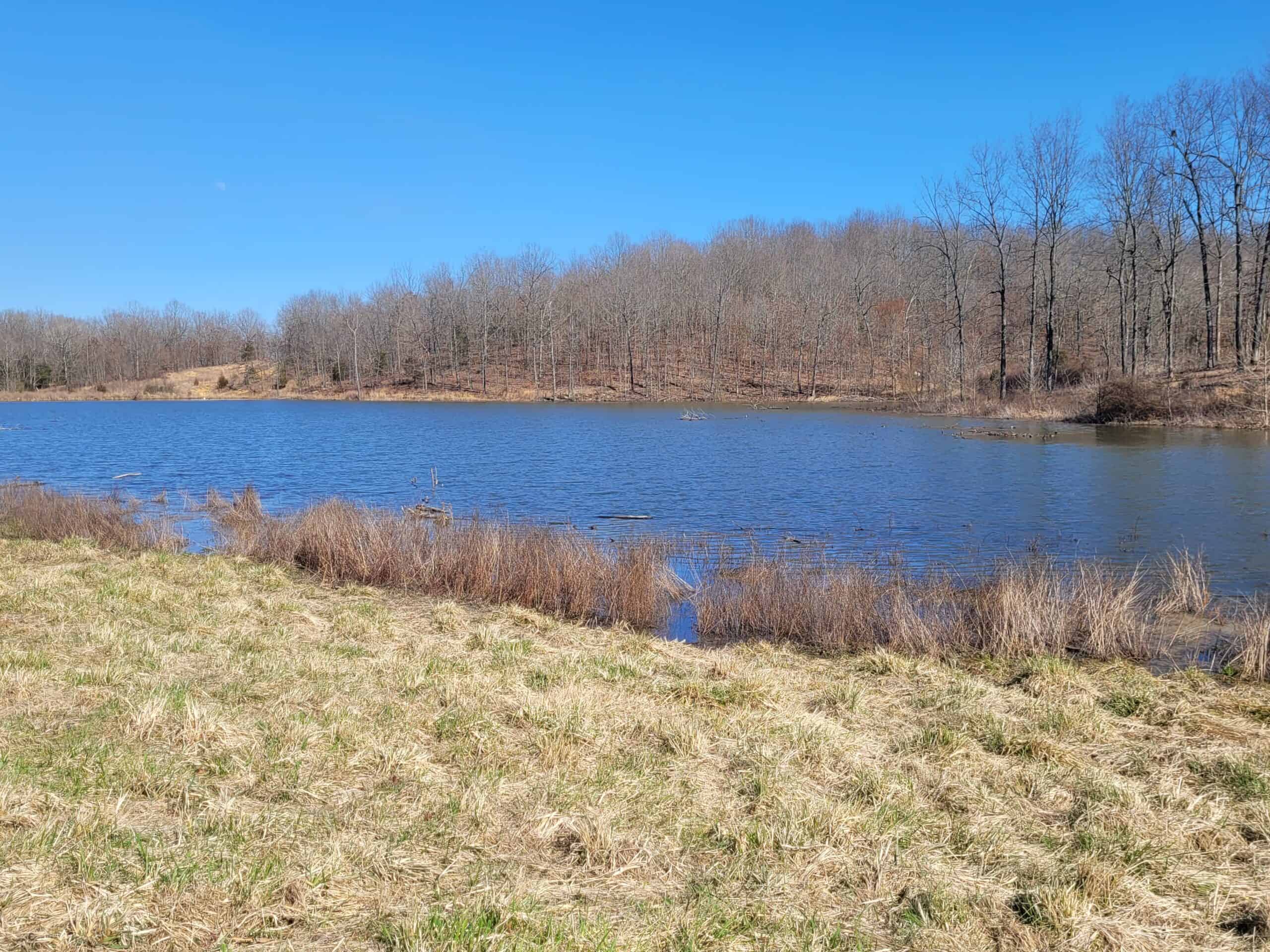 OZARKS CABIN AND HOBBY FARM/RECREATIONAL ACREAGE