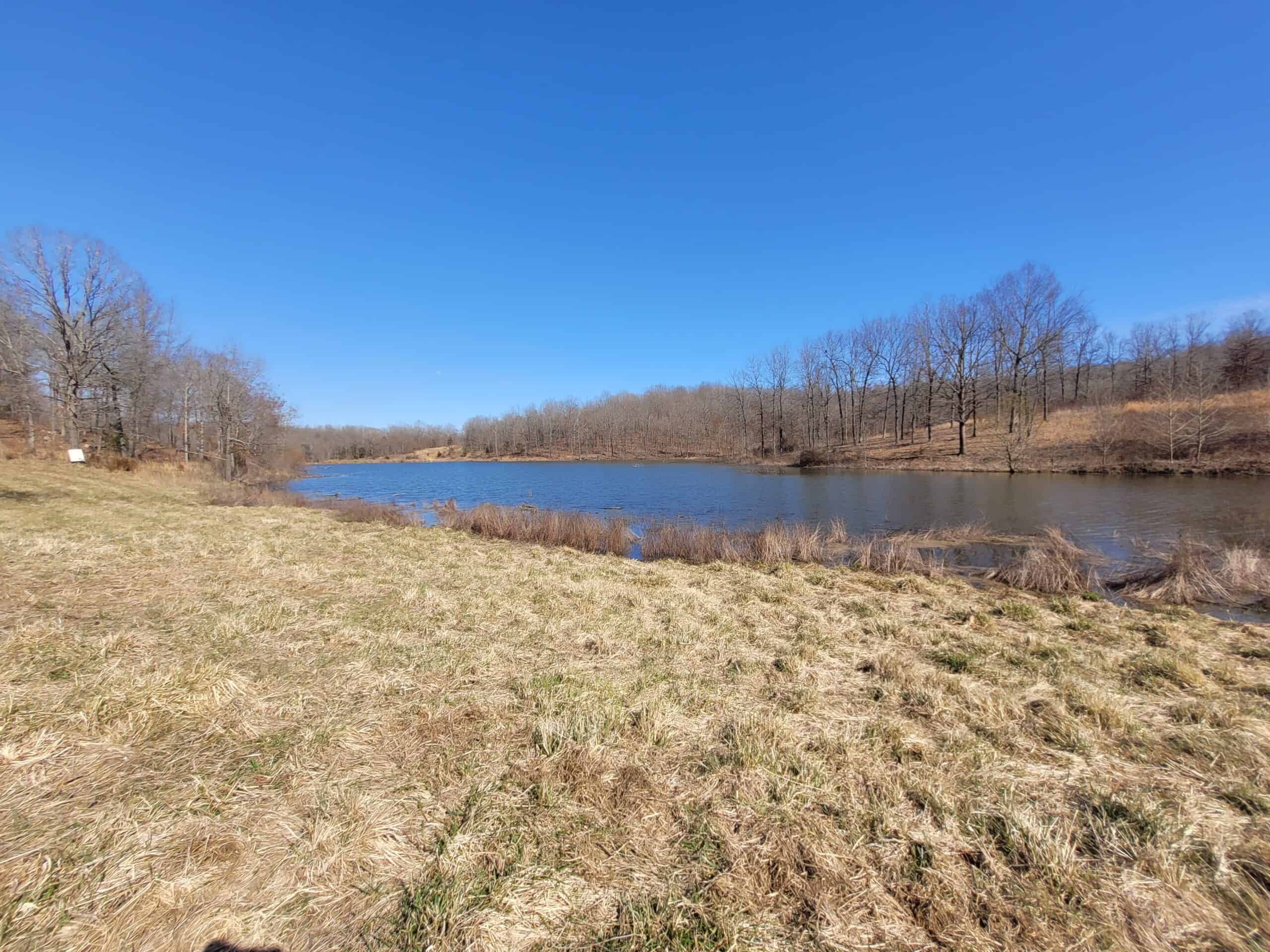 OZARKS CABIN AND HOBBY FARM/RECREATIONAL ACREAGE